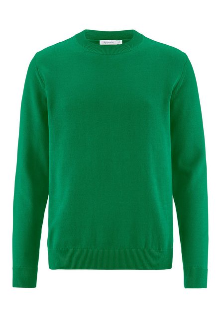 Hessnatur Strickpullover Regular aus reiner Bio-Baumwolle (1-tlg) günstig online kaufen