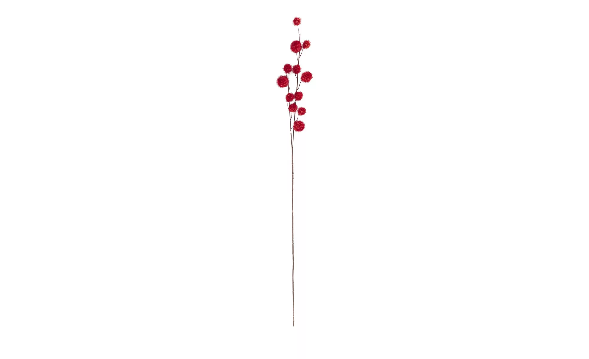 Gomphocarpus-Fruchtzweig - rot - Kunststoff, Metall - 103 cm - Dekoration > günstig online kaufen