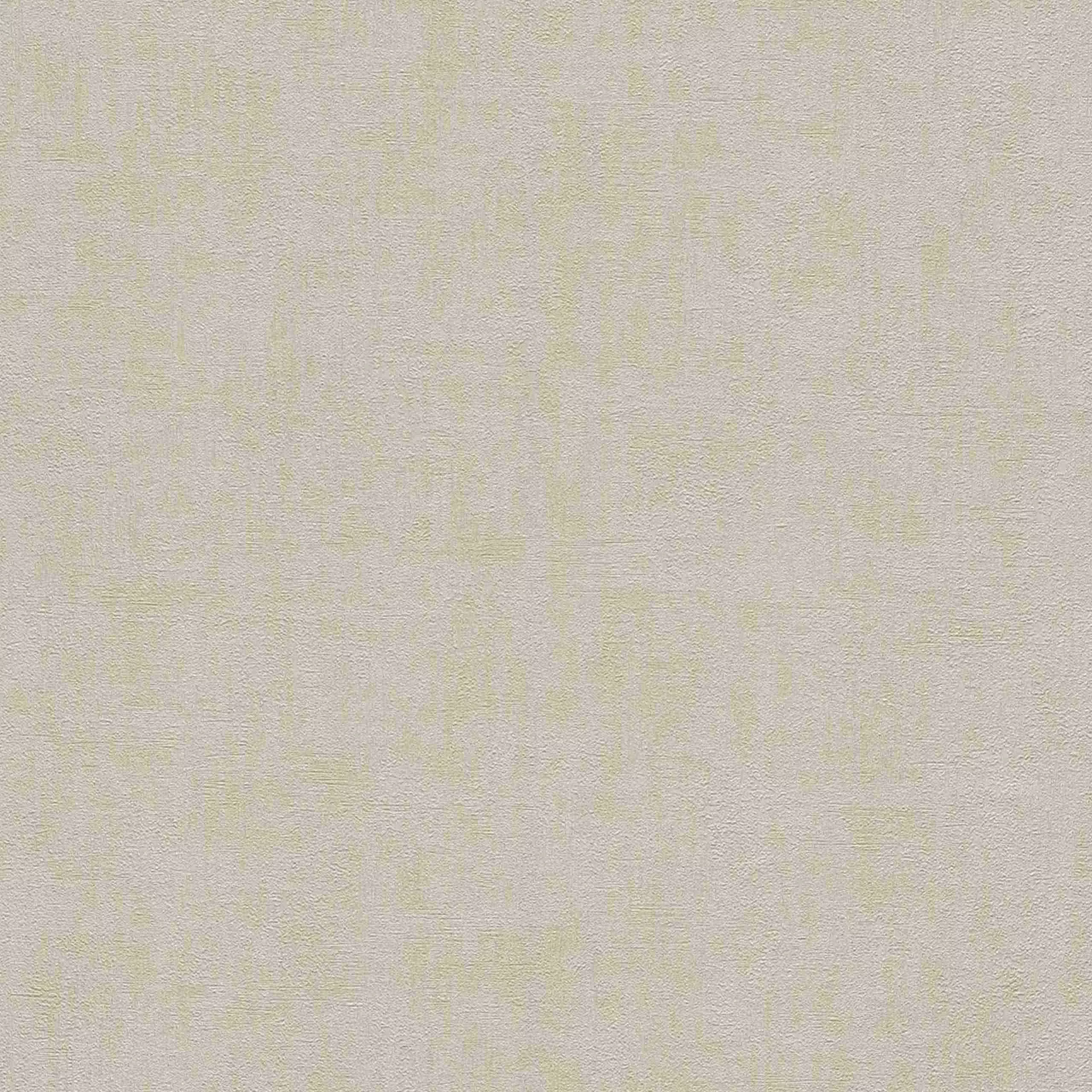 Rasch Tapete Kollektion Wall Textures IV 489934 Uni günstig online kaufen