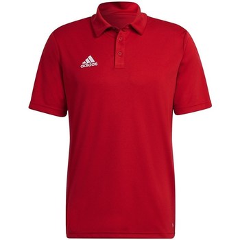 adidas  T-Shirt Entrada 22 günstig online kaufen