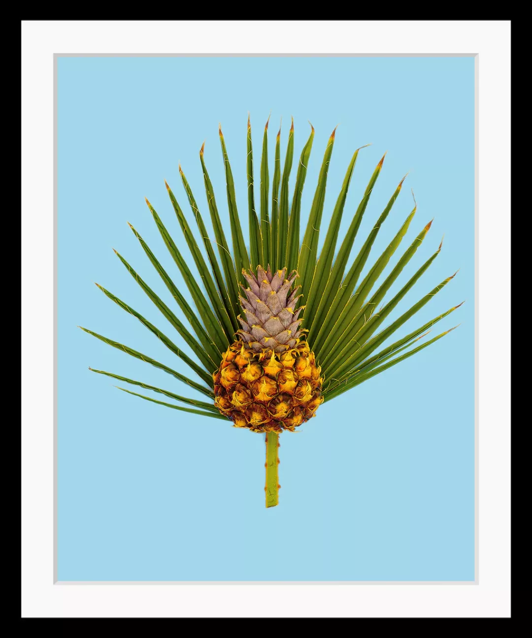 queence Bild "Diana", Obst-Obst Bilder-Kunst-Ananas-Stechpalmen-Palmen, HD günstig online kaufen