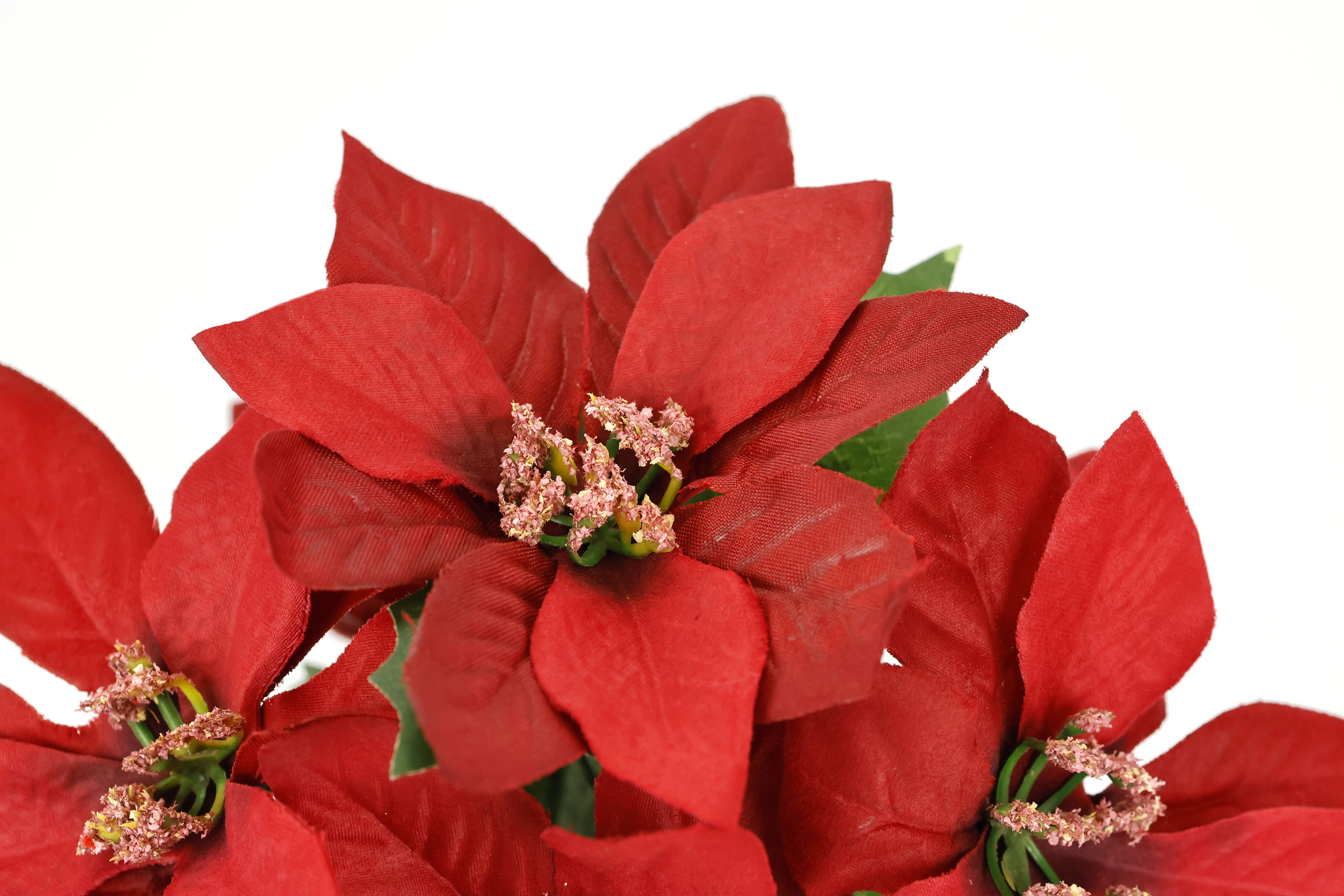 I.GE.A. Kunstblume "Poinsettia im Topf", 2er Set Künstliche Blume Weihnacht günstig online kaufen