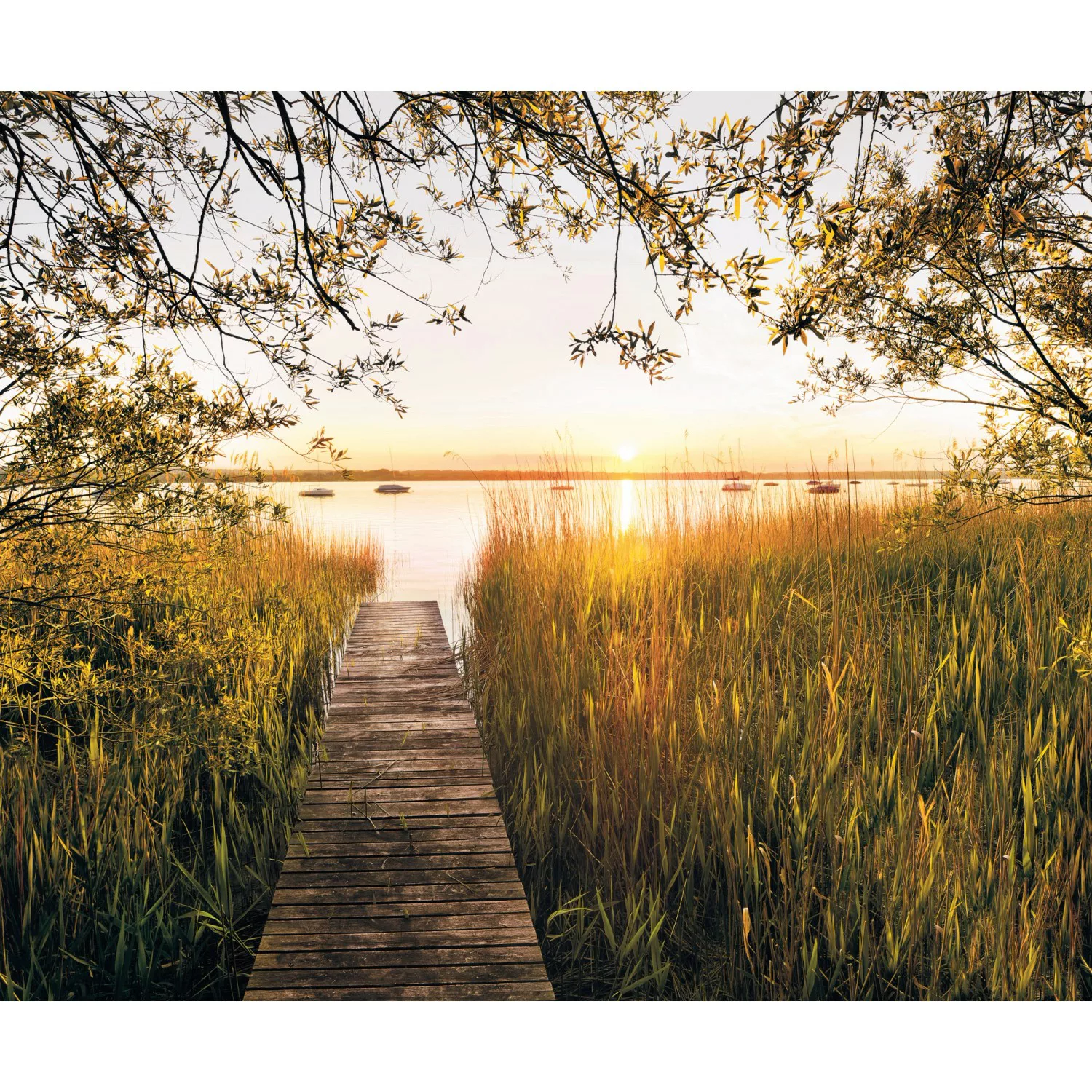 Komar Vliestapete »Lakeside«, 300x250 cm (Breite x Höhe), Vliestapete, 100 günstig online kaufen