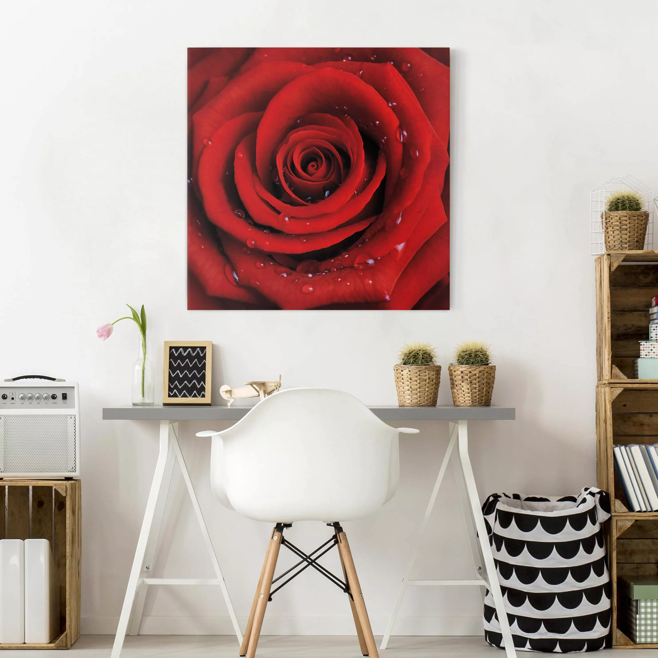 Leinwandbild Blumen - Quadrat Rote Rose mit Wassertropfen günstig online kaufen