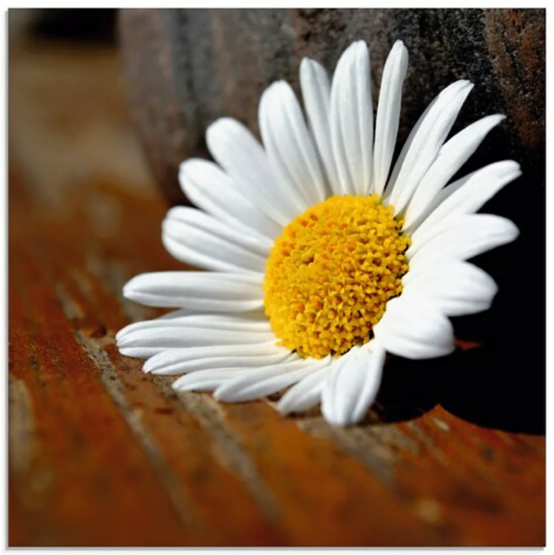 Artland Glasbild "Margeriten Stillleben", Blumen, (1 St.), in verschiedenen günstig online kaufen