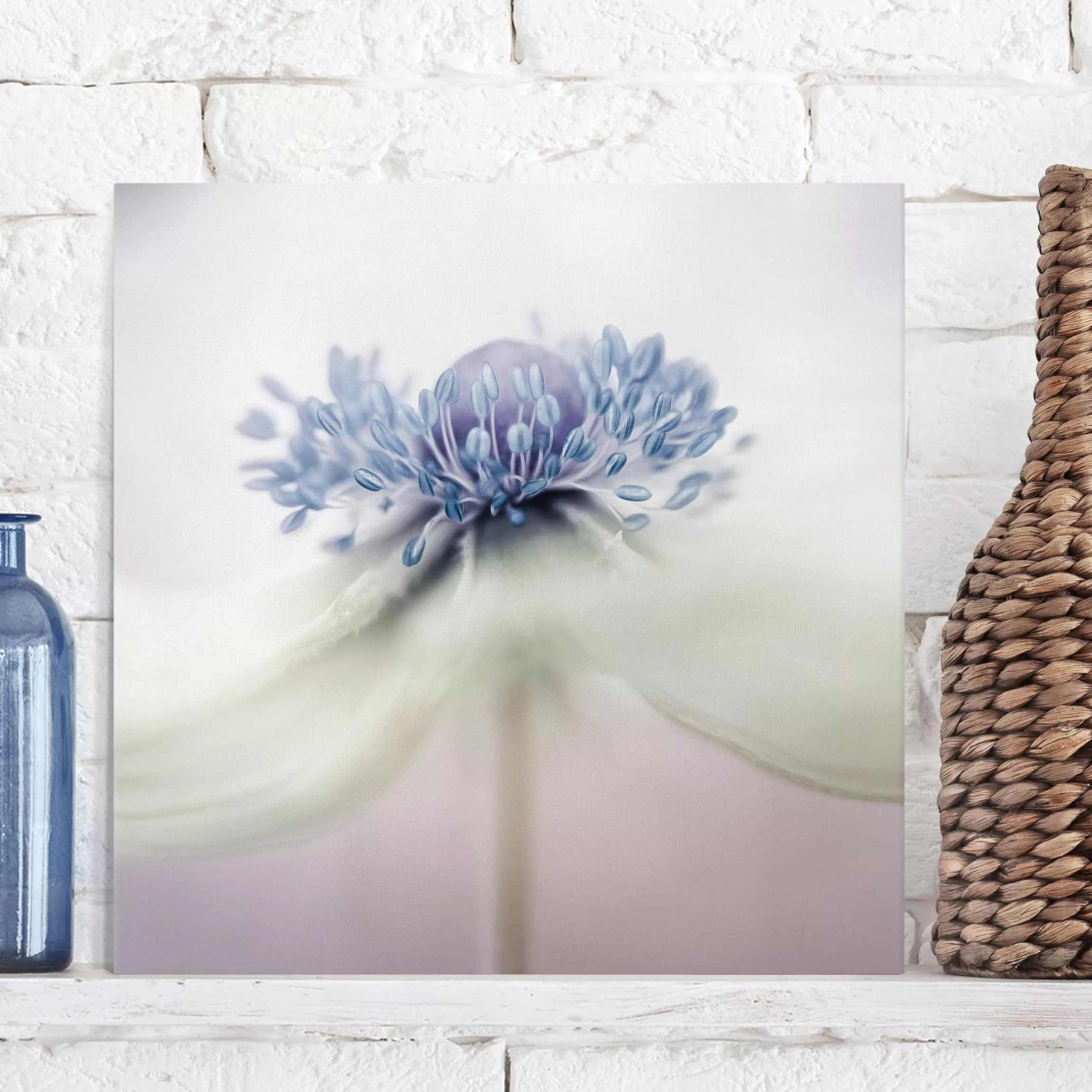 Leinwandbild Blumen - Quadrat Anemone in Violett günstig online kaufen