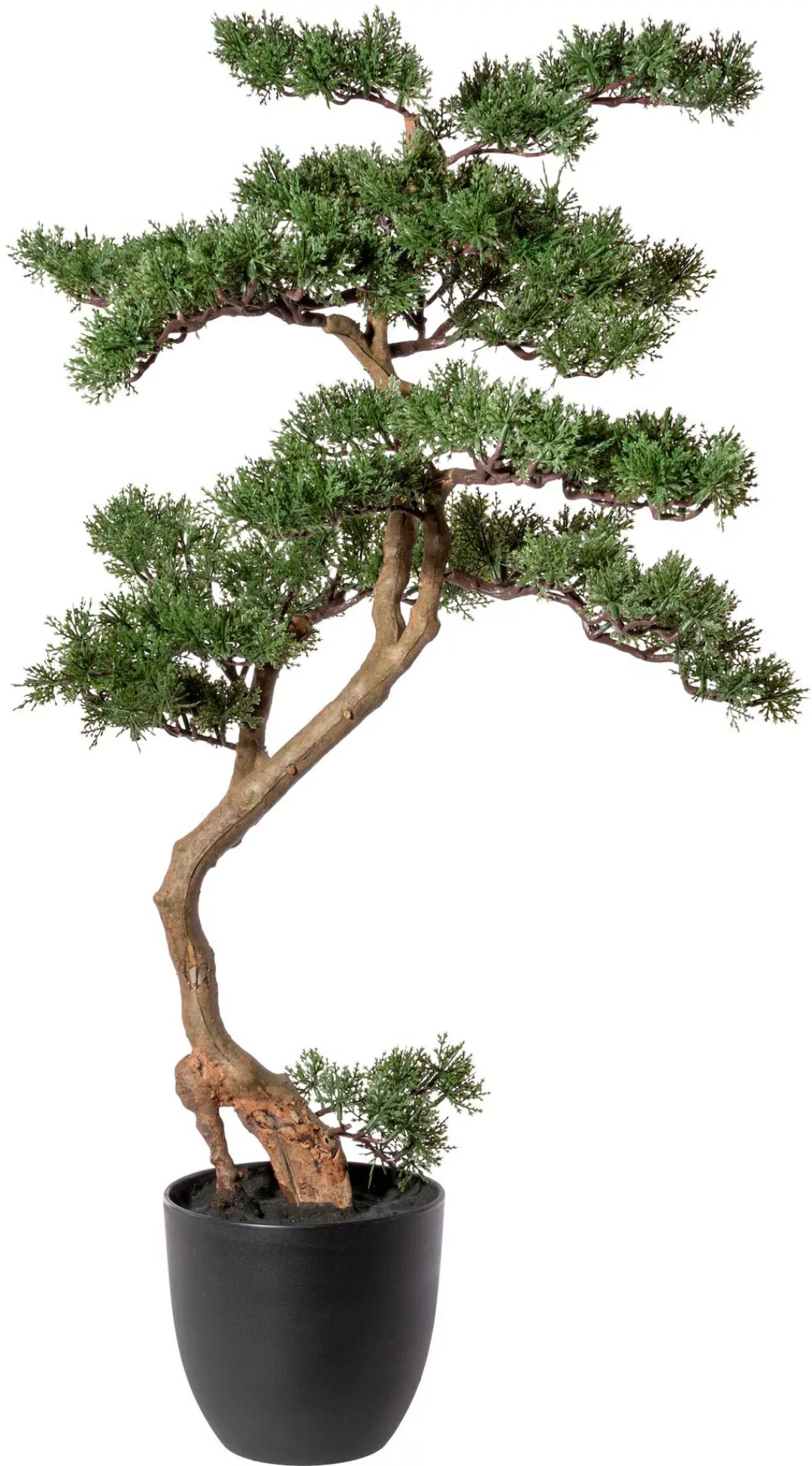 Creativ green Kunstbonsai "Bonsai Zeder" günstig online kaufen