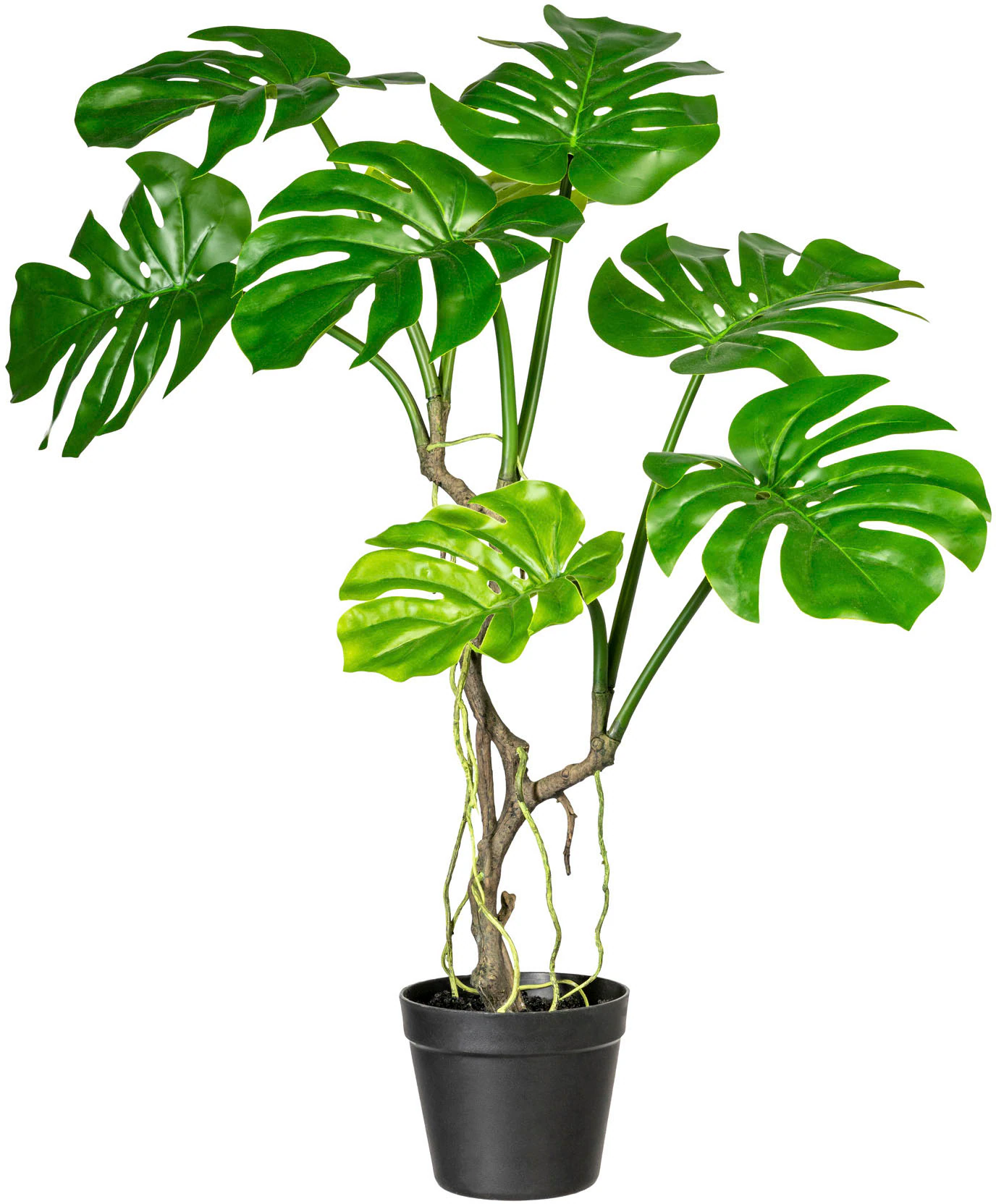 Creativ green Kunstpflanze "Philodendron", mit Luftwurzeln günstig online kaufen