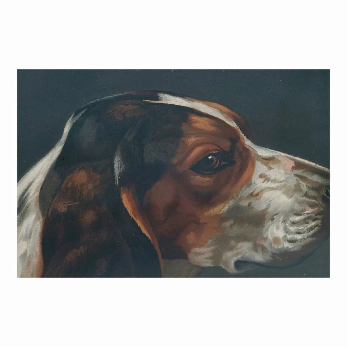Bild Dkd Home Decor Dog Hund (38 X 3 X 43 Cm) (2 Stück) günstig online kaufen