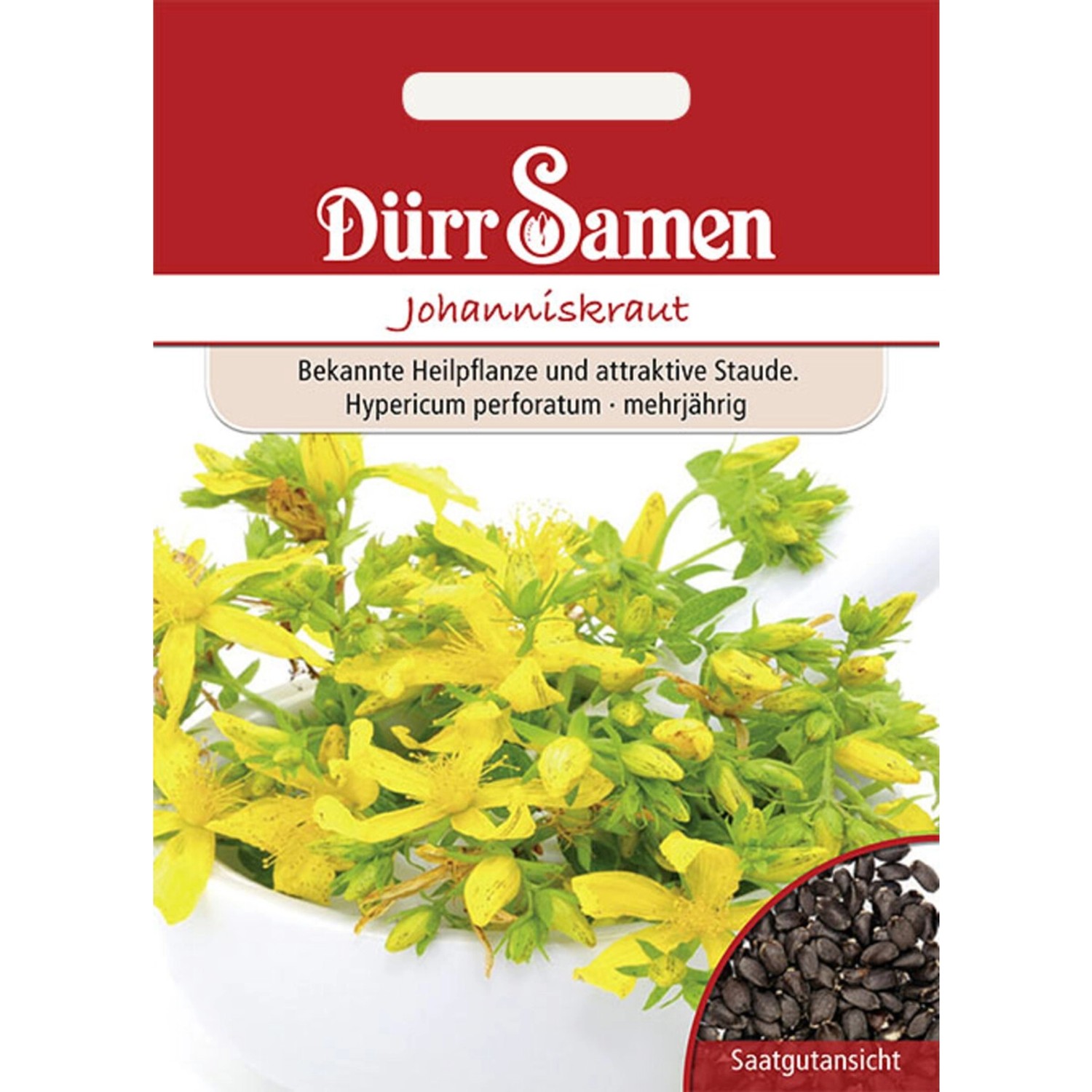 Dürr Samen Johanniskraut Saatgut günstig online kaufen