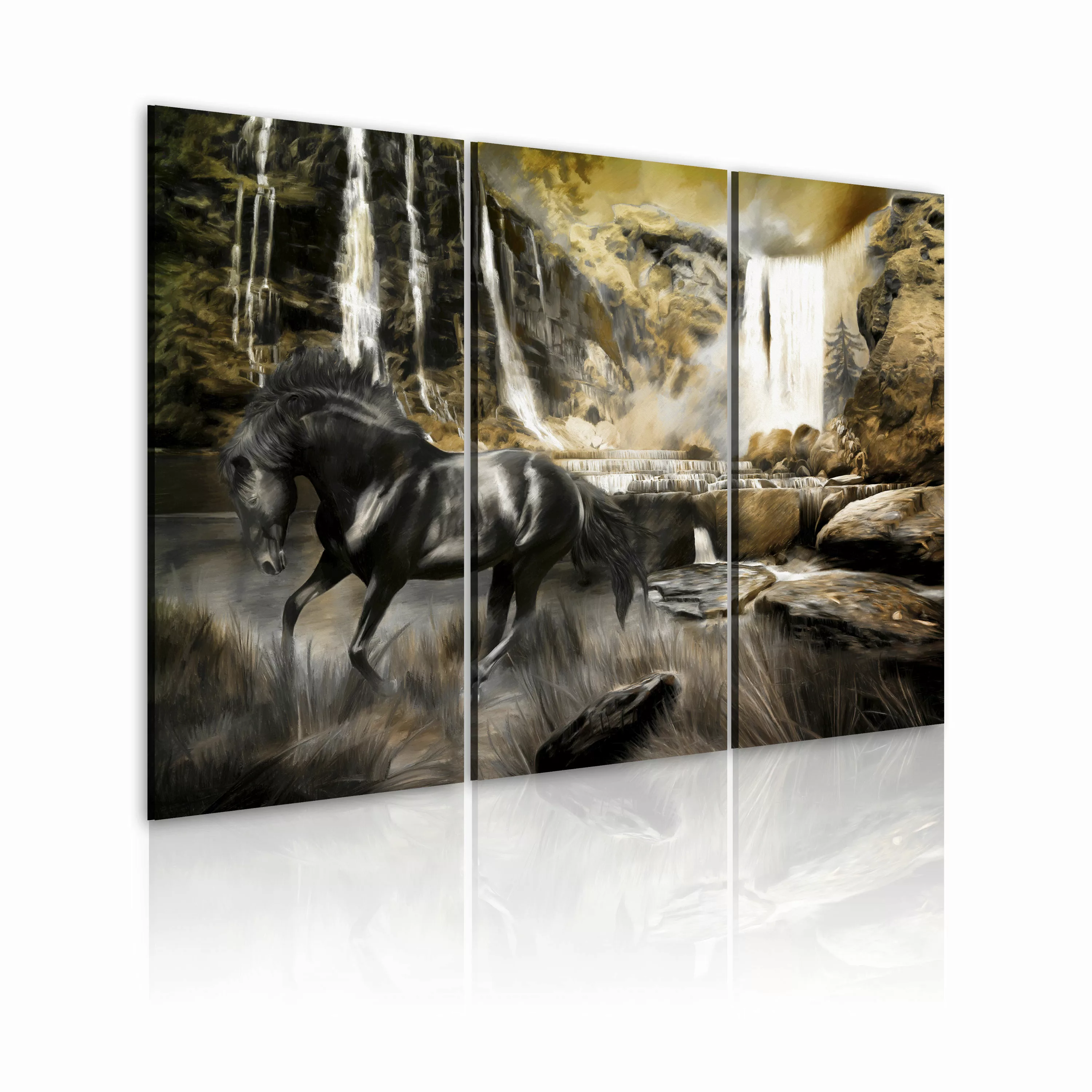 Wandbild - Schwarzes Pferd Und Wasserfall günstig online kaufen