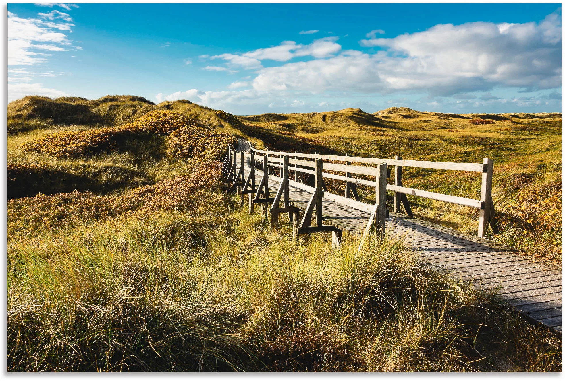 Artland Wandbild "Landschaft in den Dünen Insel Amrum", Küste, (1 St.), als günstig online kaufen