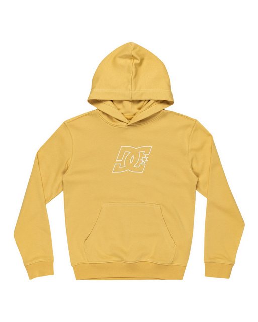 DC Shoes Hoodie Pallet Ph günstig online kaufen