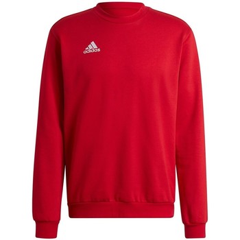 adidas  Sweatshirt Entrada 22 günstig online kaufen