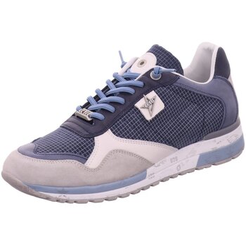 Cetti  Halbschuhe Schnuerschuhe C-848-XL grid navy günstig online kaufen