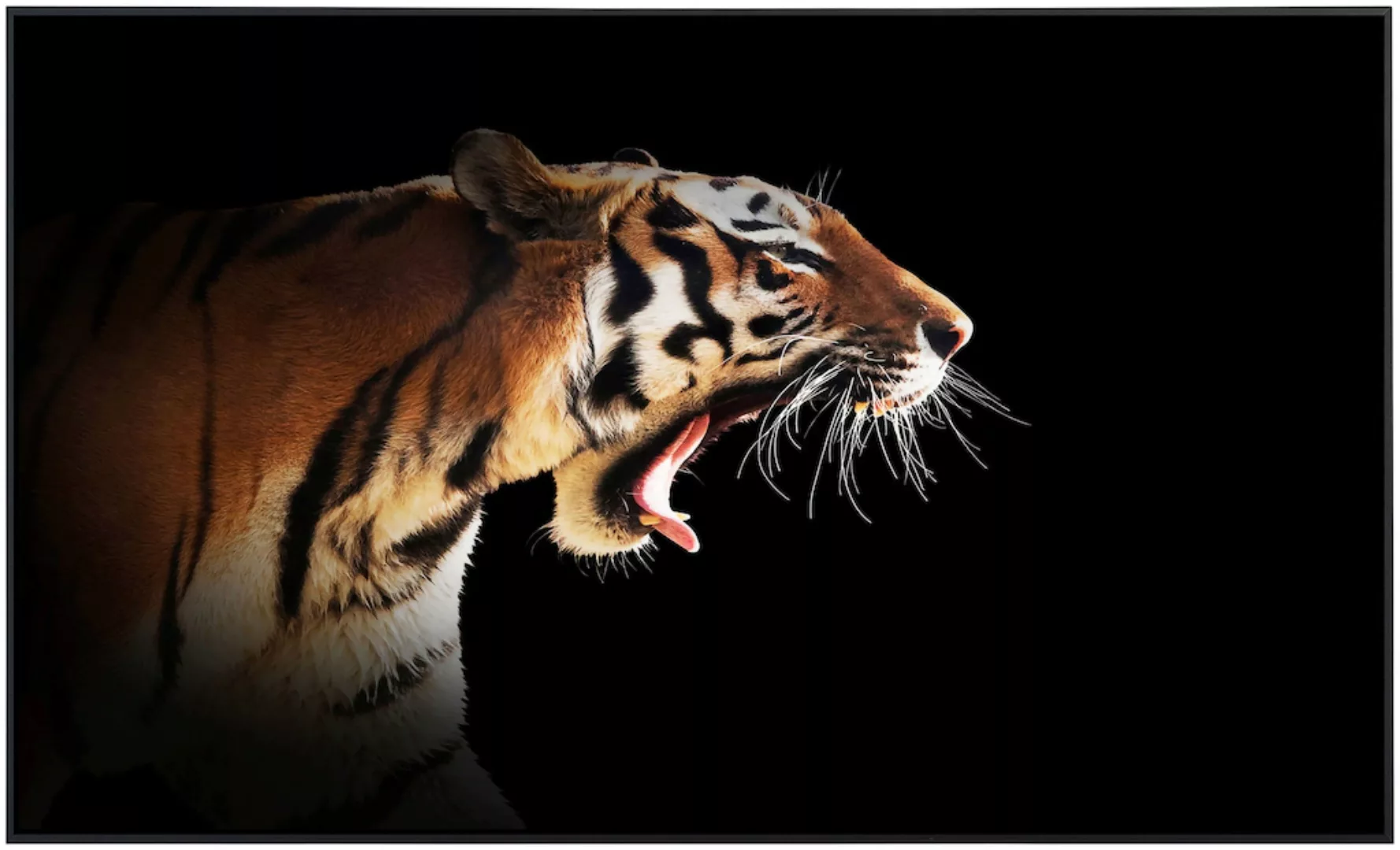 Papermoon Infrarotheizung »Brüllender Tiger«, sehr angenehme Strahlungswärm günstig online kaufen