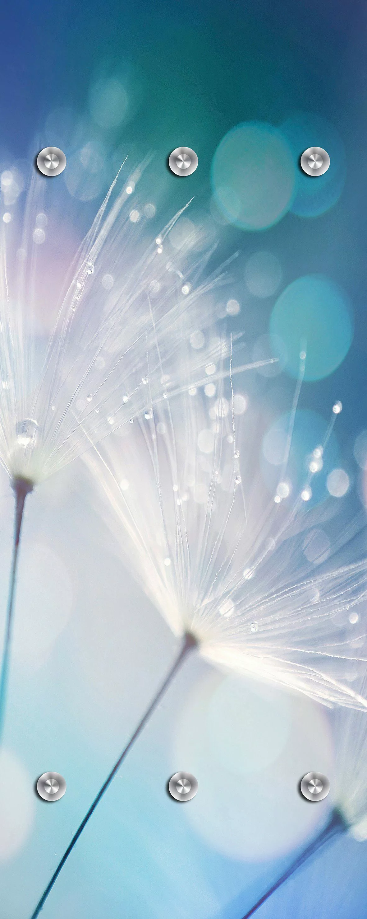 queence Garderobenleiste "Dandelion" günstig online kaufen