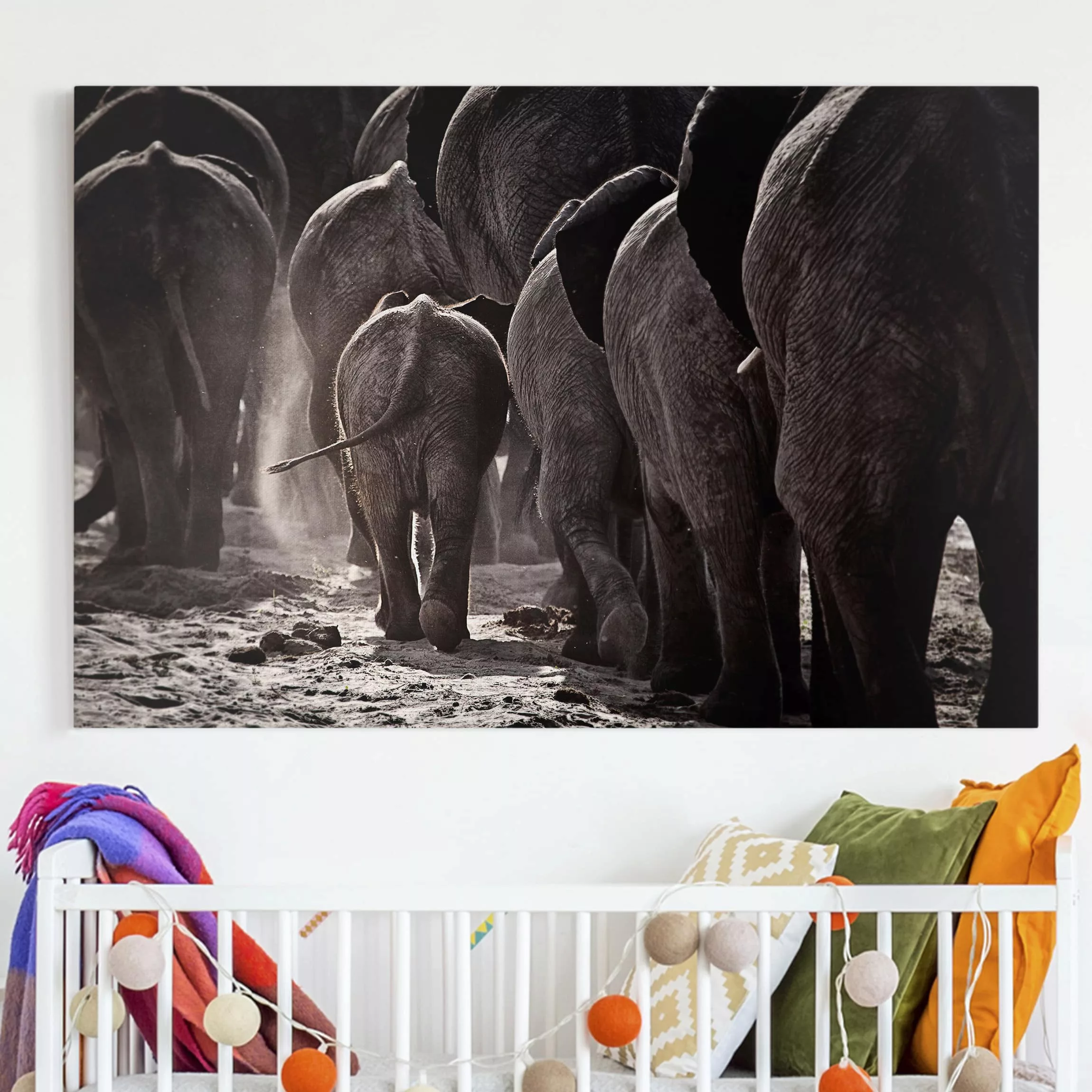 Leinwandbild Elefant - Querformat Nach Hause gehen günstig online kaufen
