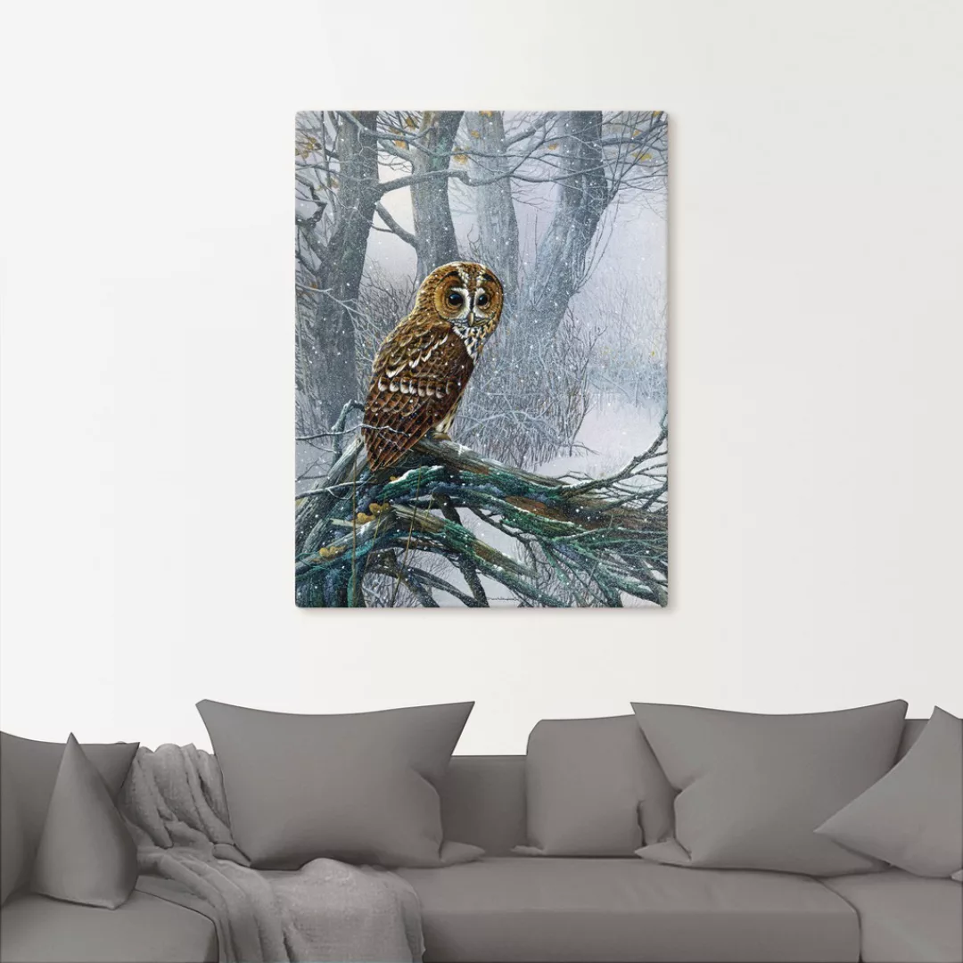 Artland Wandbild "Eule in verschneitem Wald", Vögel, (1 St.), als Leinwandb günstig online kaufen