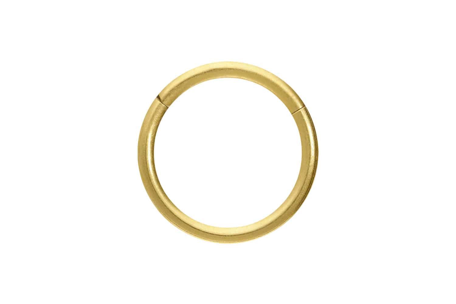 PIERCINGLINE Nasenpiercing Titan Segmentring Clicker MATT günstig online kaufen