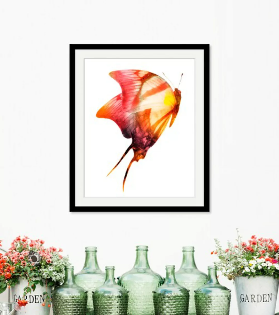 queence Bild "Darleen", Schmetterlinge, (1 St.) günstig online kaufen