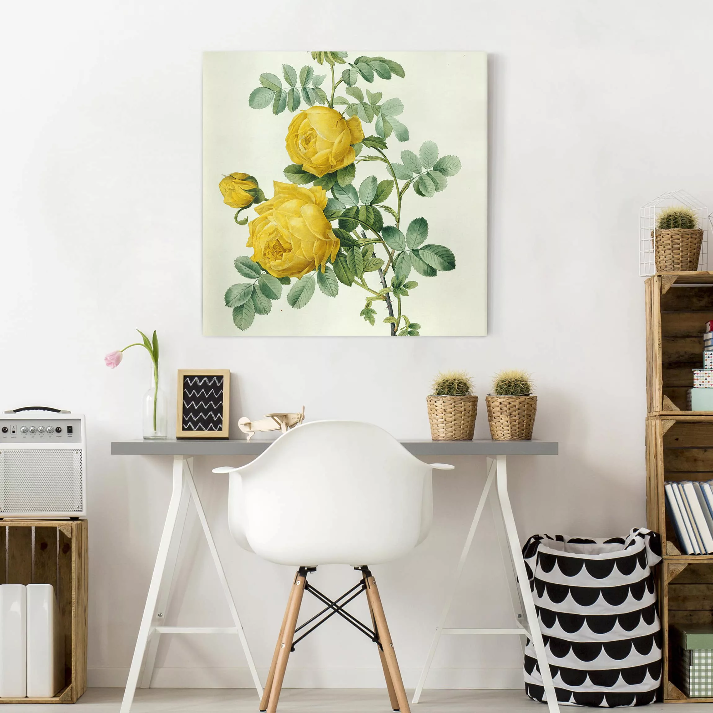 Leinwandbild Blumen - Quadrat Pierre Joseph Redouté - Rosa Sulfurea günstig online kaufen