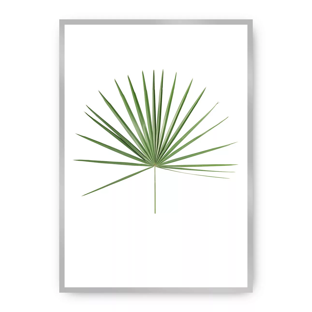 Poster Tropical Leaf Green, 30 x 40 cm, Rahmen wählen: silber günstig online kaufen
