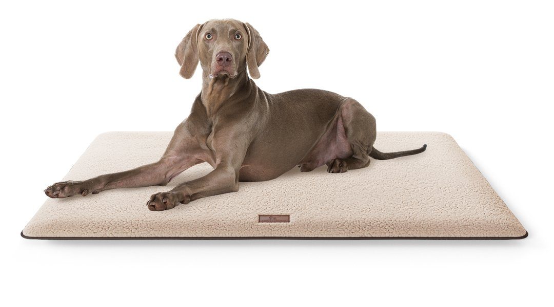 Knuffelwuff Hundematte Calliope, Schaumstoff günstig online kaufen
