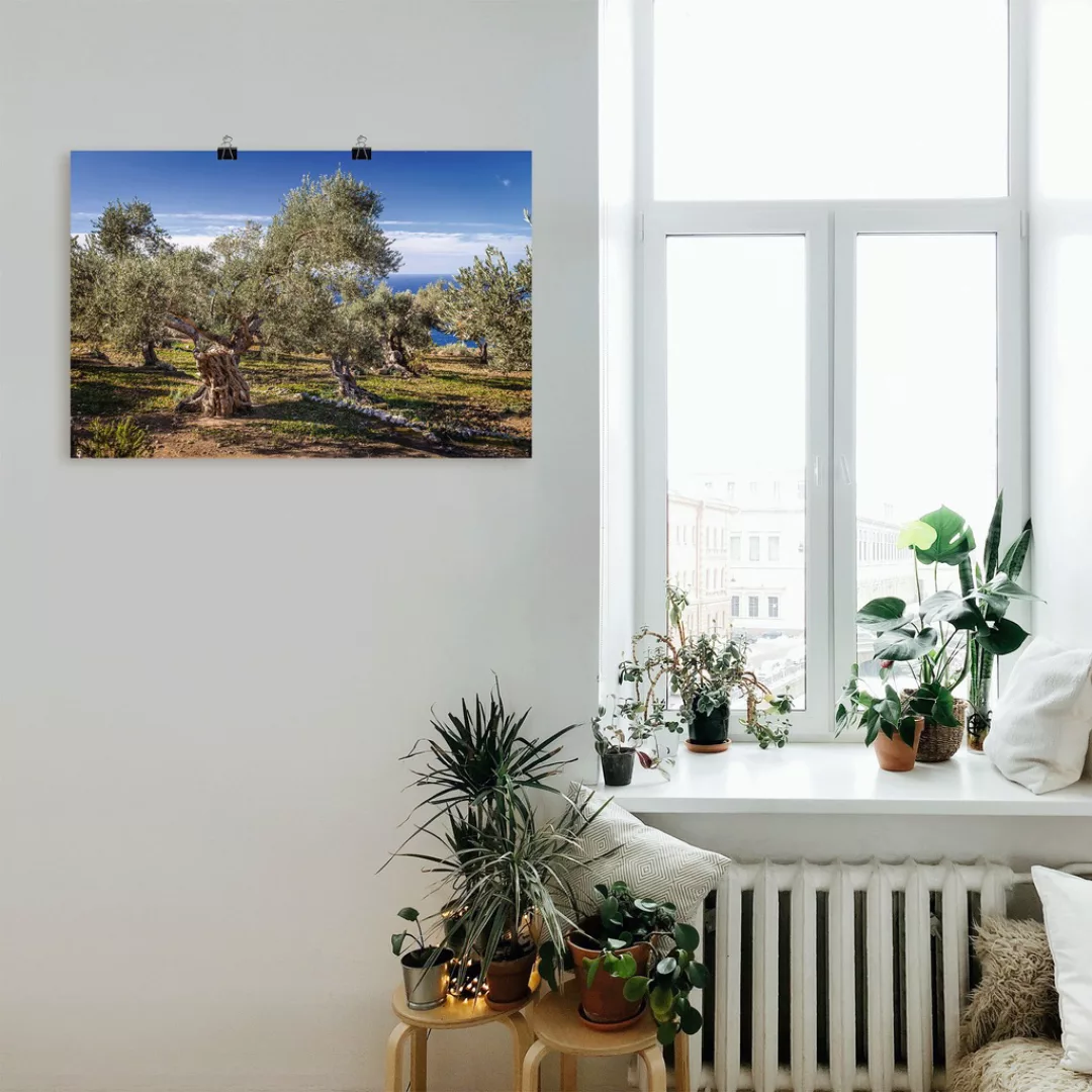 Artland Wandbild "Olivenhain in der Serra de Tramuntana", Küstenbilder, (1 günstig online kaufen