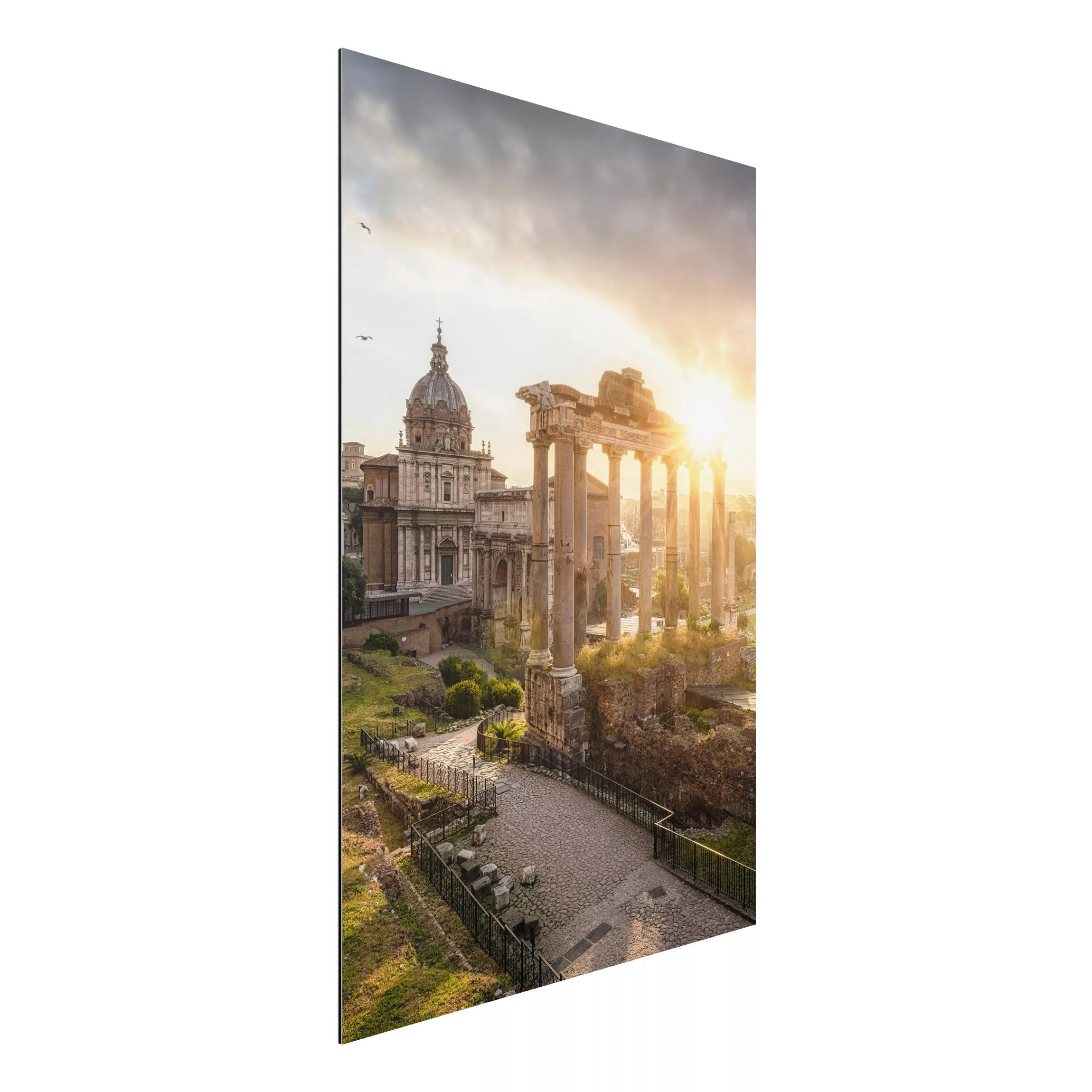 Alu-Dibond Bild Forum Romanum bei Sonnenaufgang günstig online kaufen