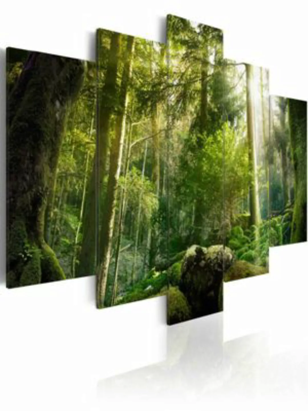 artgeist Wandbild The Beauty of the Forest mehrfarbig Gr. 200 x 100 günstig online kaufen