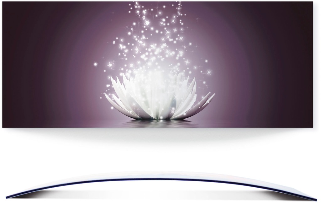 Artland Wandbild "Magie der Lotus-Blume", Blumen, (1 St.), 3D Optik gebogen günstig online kaufen