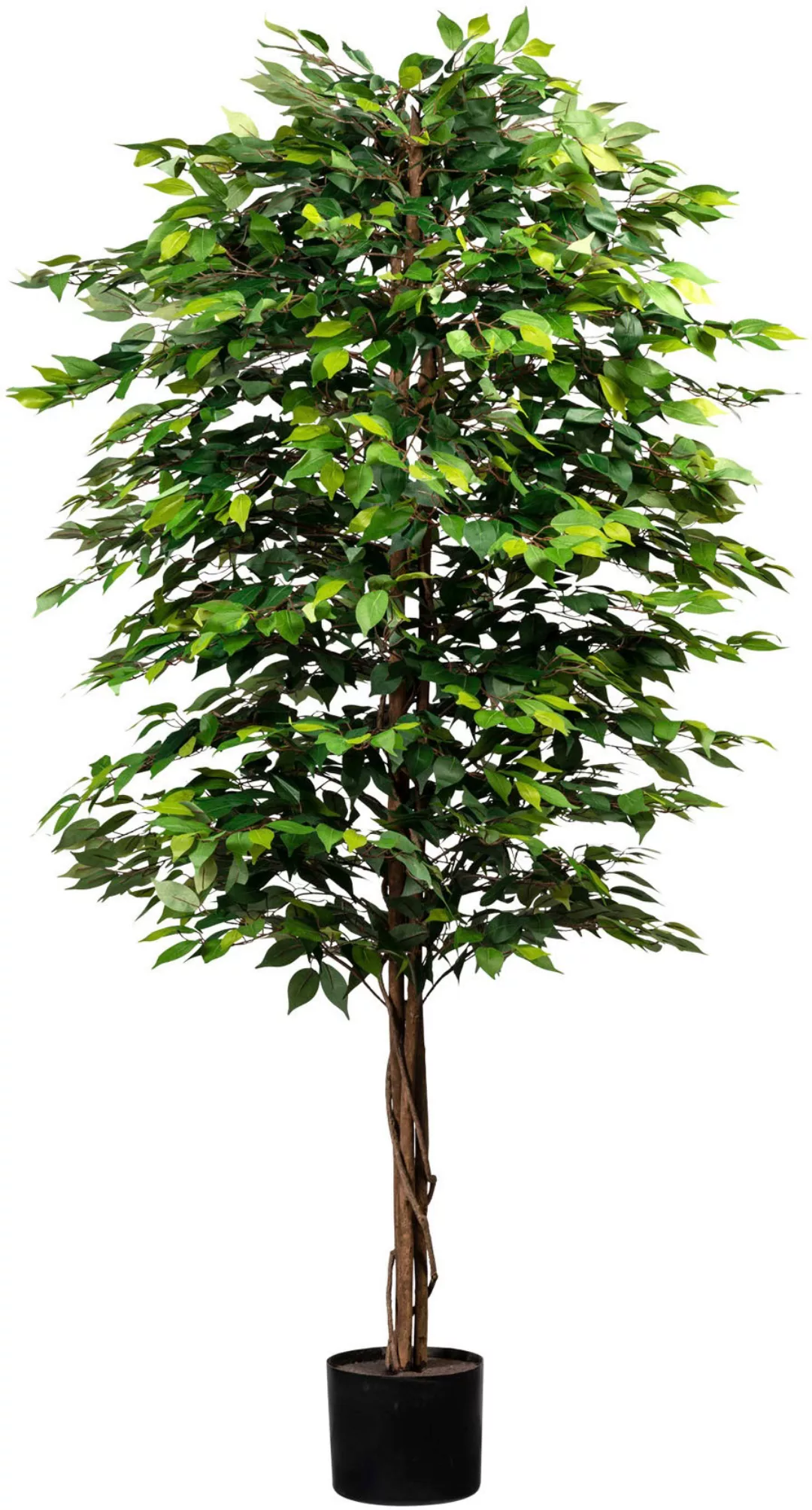 Creativ green Kunstpflanze "Ficus benjamini", mit Naturstamm günstig online kaufen