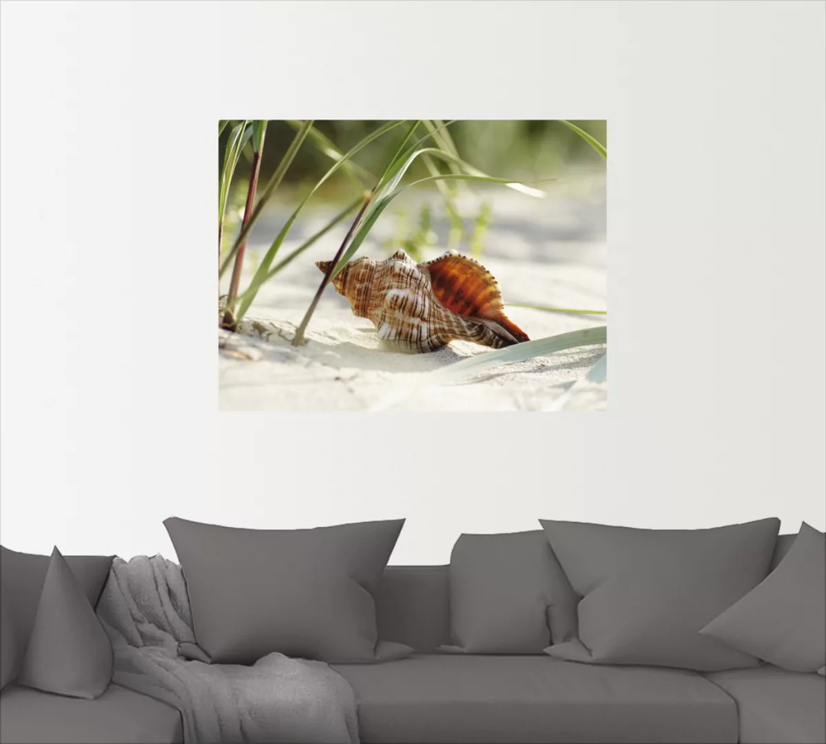 Artland Wandbild »Große Muschel am Strand«, Wassertiere, (1 St.), als Leinw günstig online kaufen