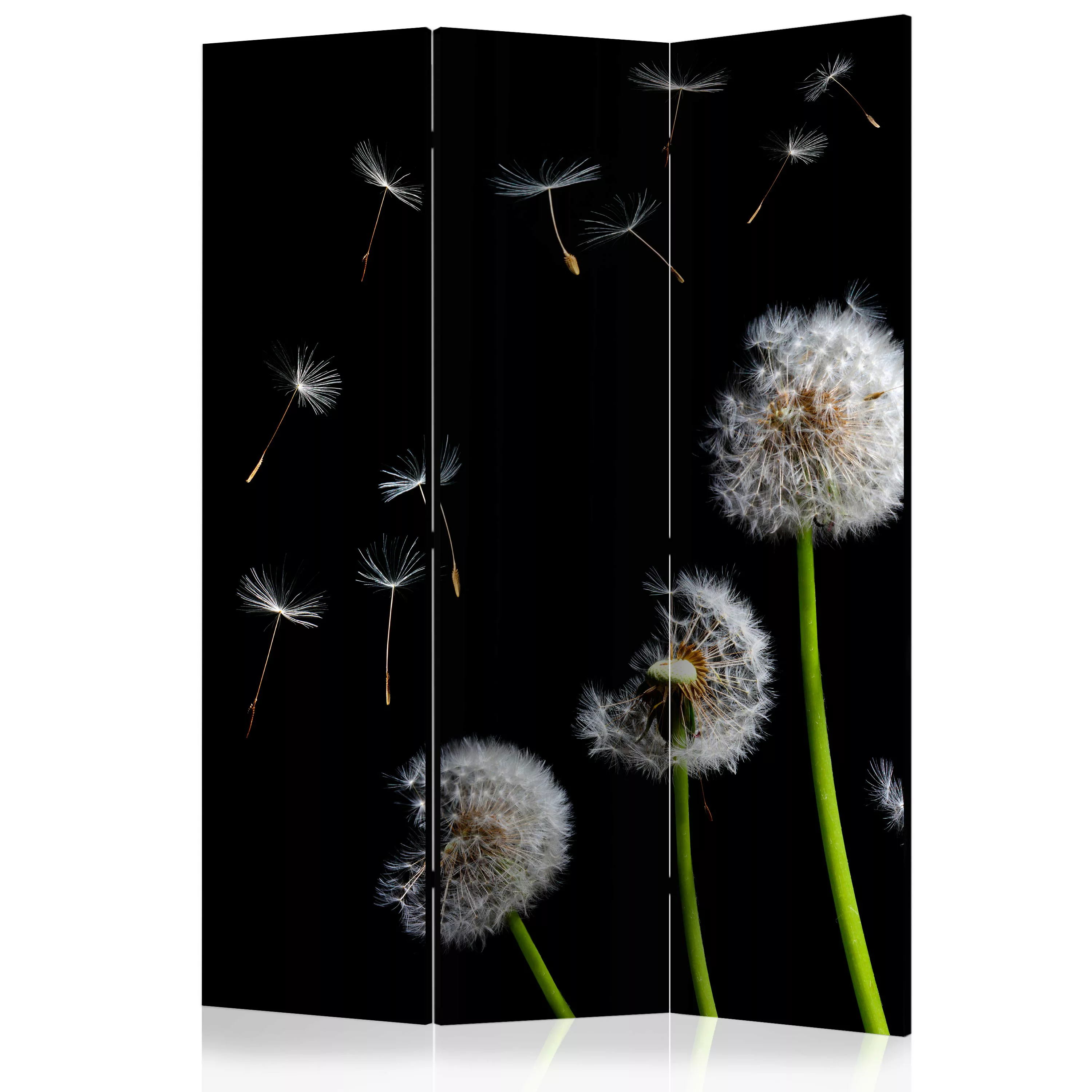 3-teiliges Paravent - Dandelions In The Wind [room Dividers] günstig online kaufen