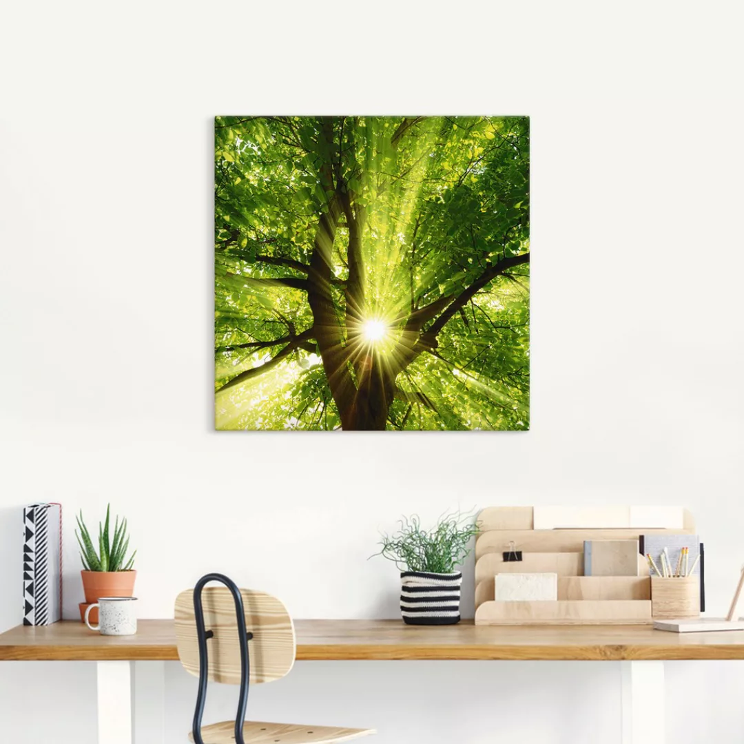 Artland Wandbild "Sonne strahlt explosiv durch den Baum", Bäume, (1 St.), a günstig online kaufen