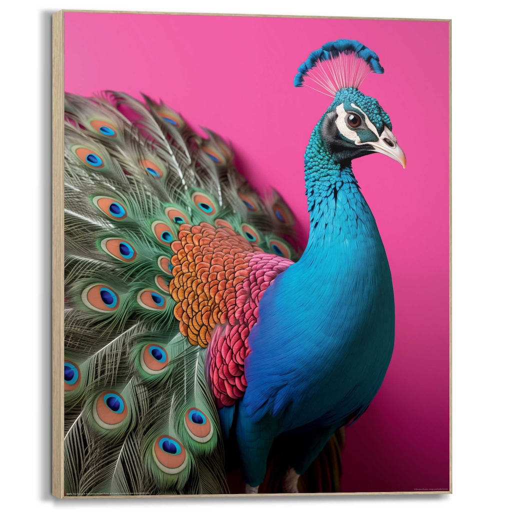 Reinders Wandbild "Pink Peacock" günstig online kaufen