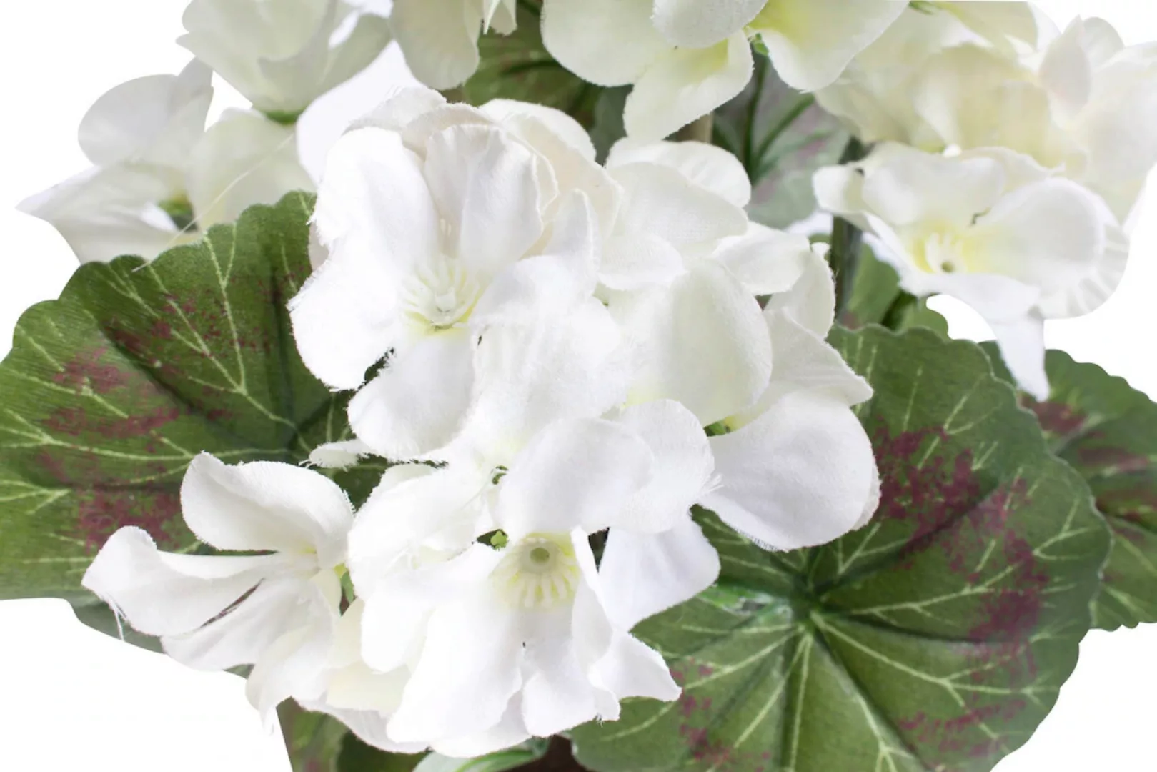 Botanic-Haus Kunstblume "Geranienbusch mit 6 Blütenköpfen" günstig online kaufen