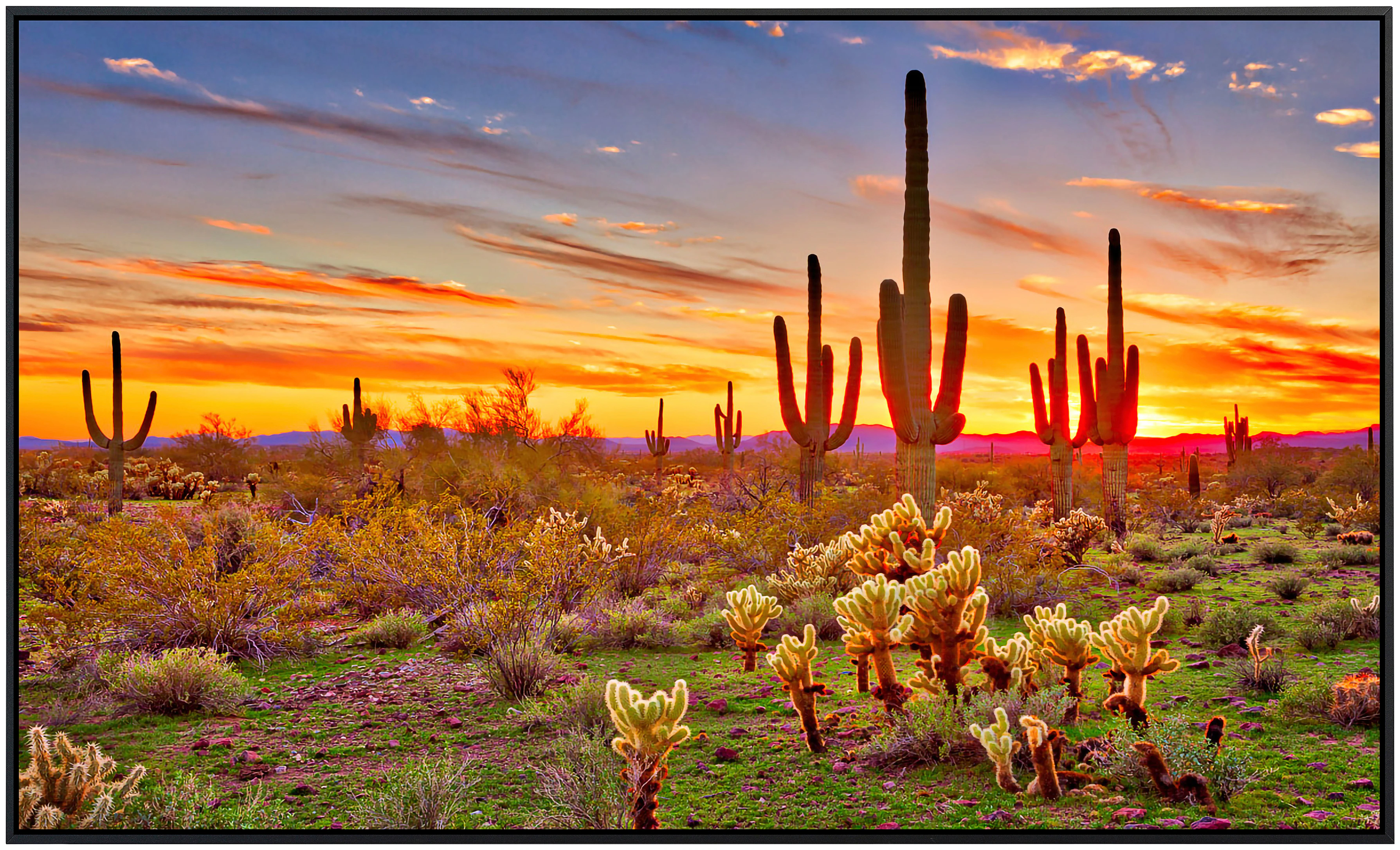 Papermoon Infrarotheizung »Saguaros Sunset Phoenix«, sehr angenehme Strahlu günstig online kaufen