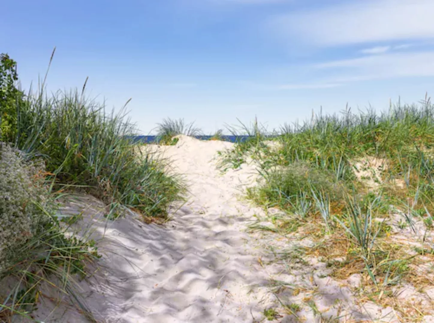 Papermoon Fototapete »Dünen in der Ostsee« günstig online kaufen