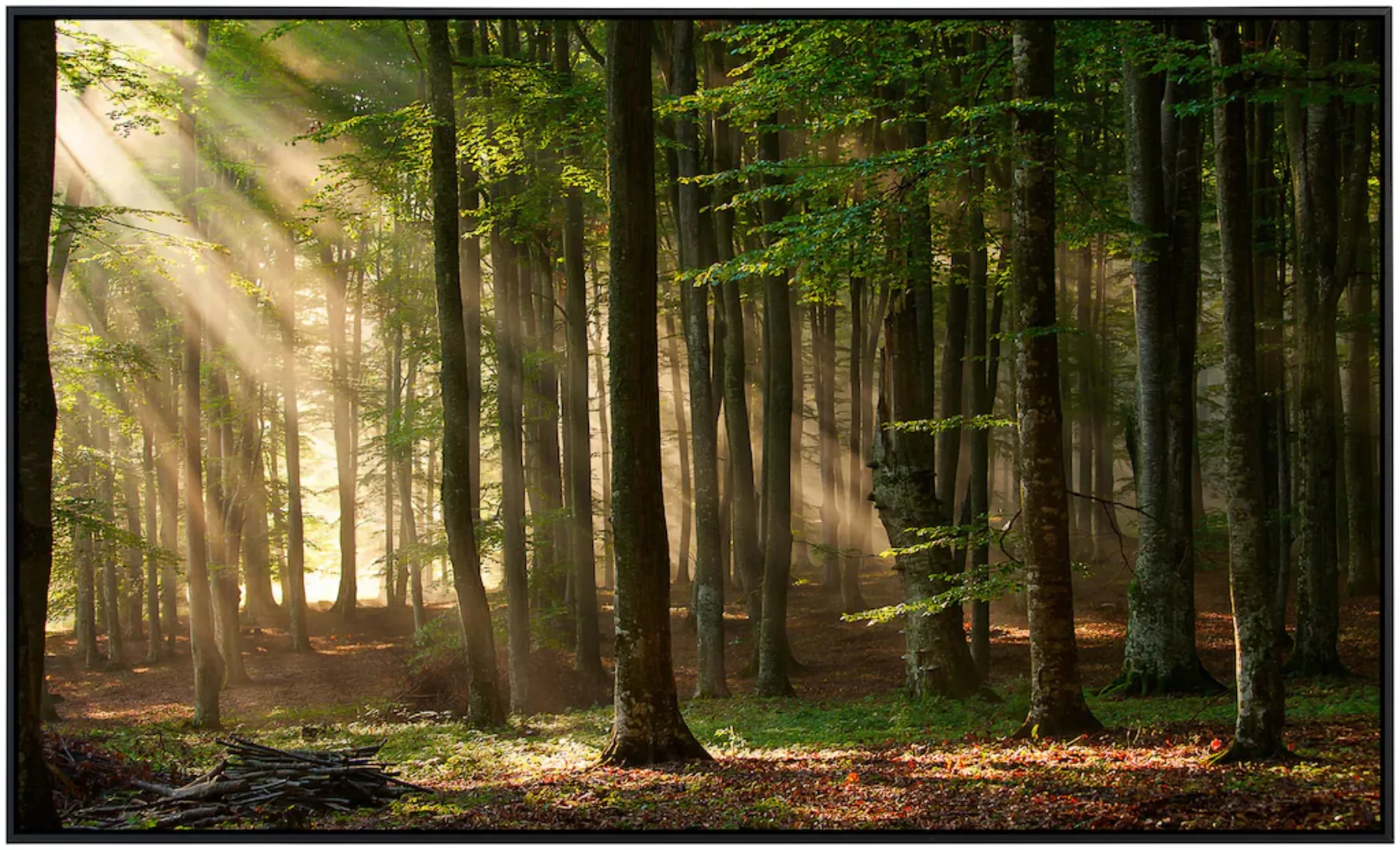 Papermoon Infrarotheizung »Herbstwald« günstig online kaufen