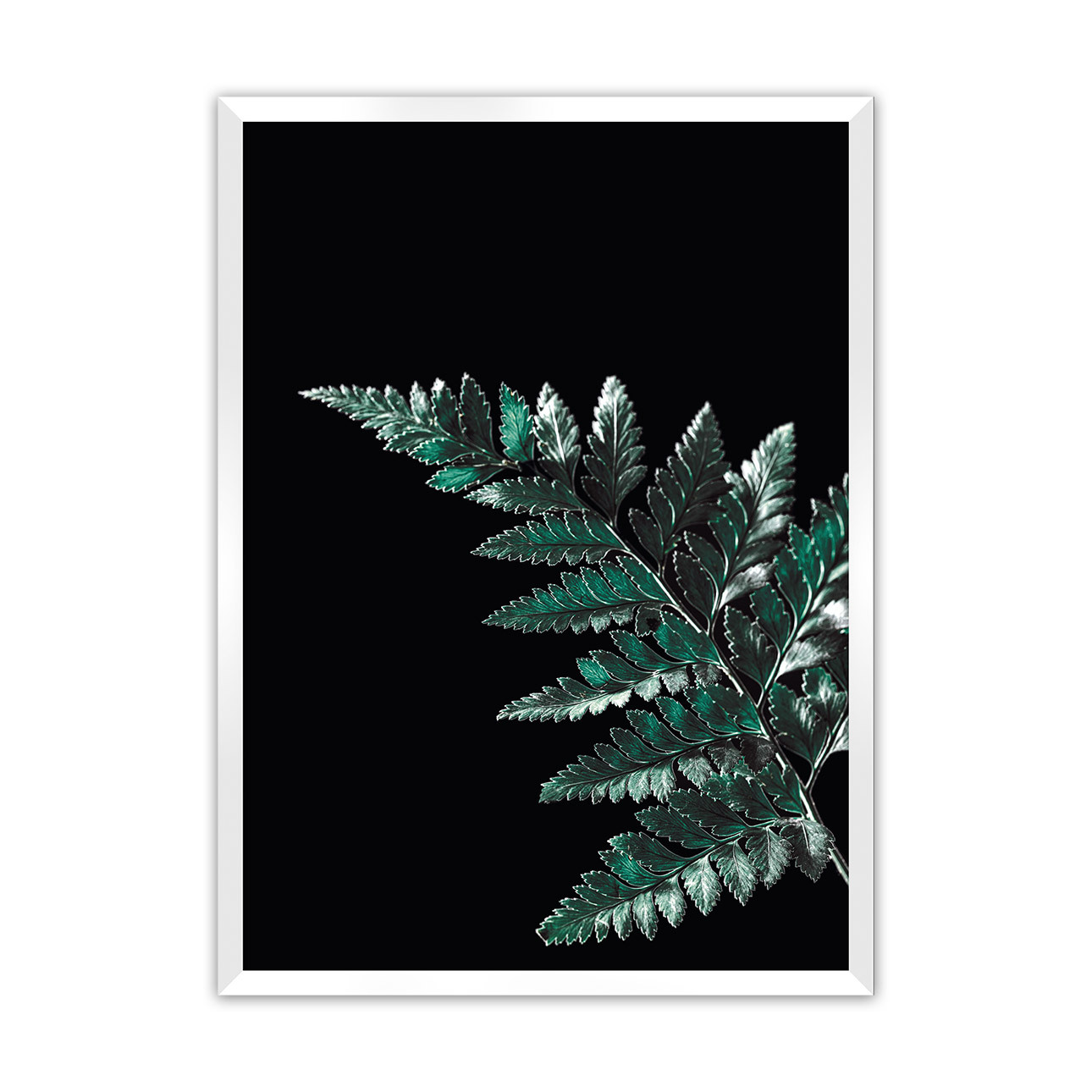 Poster Dark Fern Leaf, 70 x 100 cm, Rahmen wählen: weiss günstig online kaufen