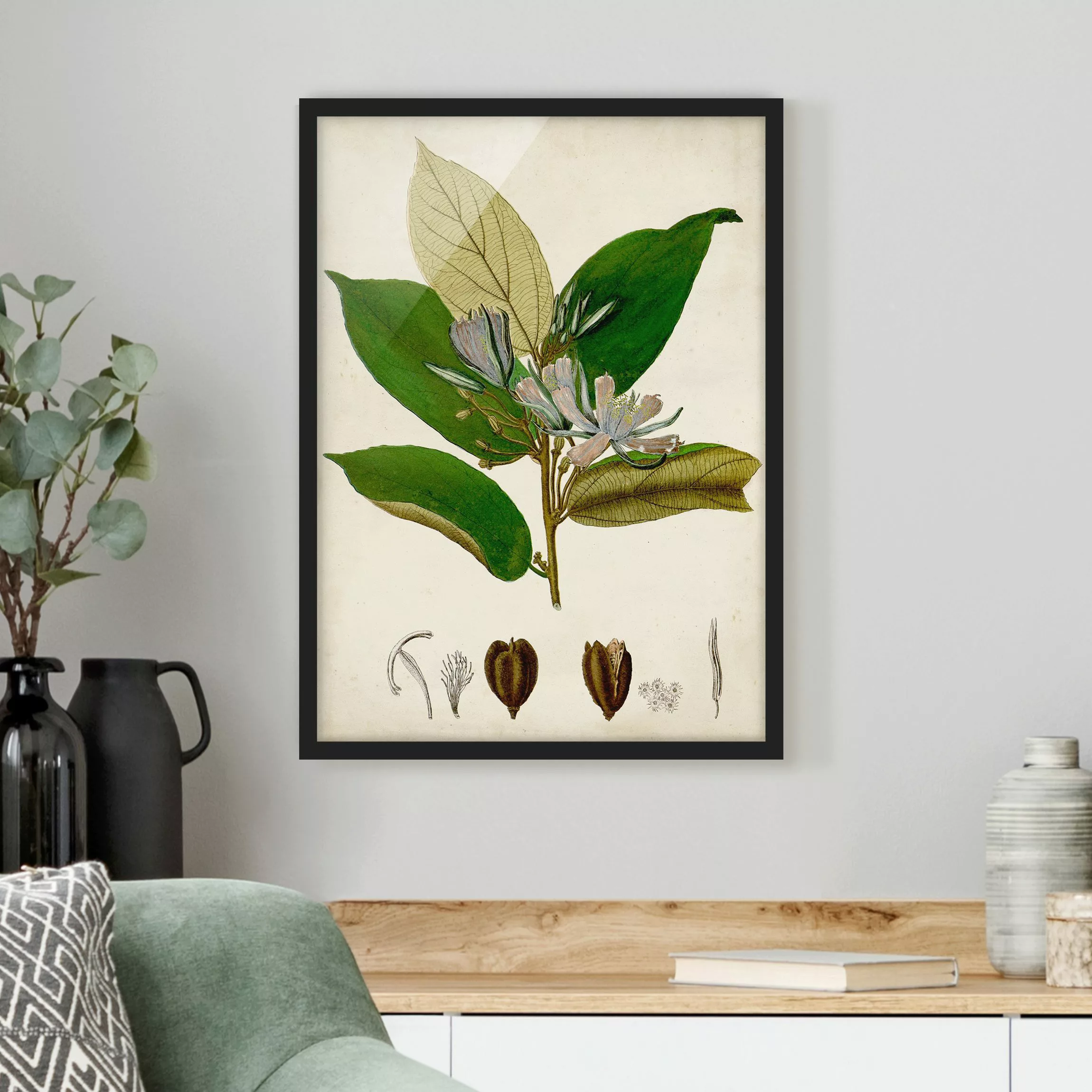 Bild mit Rahmen Blumen - Hochformat Laubbaum Schautafel IV günstig online kaufen
