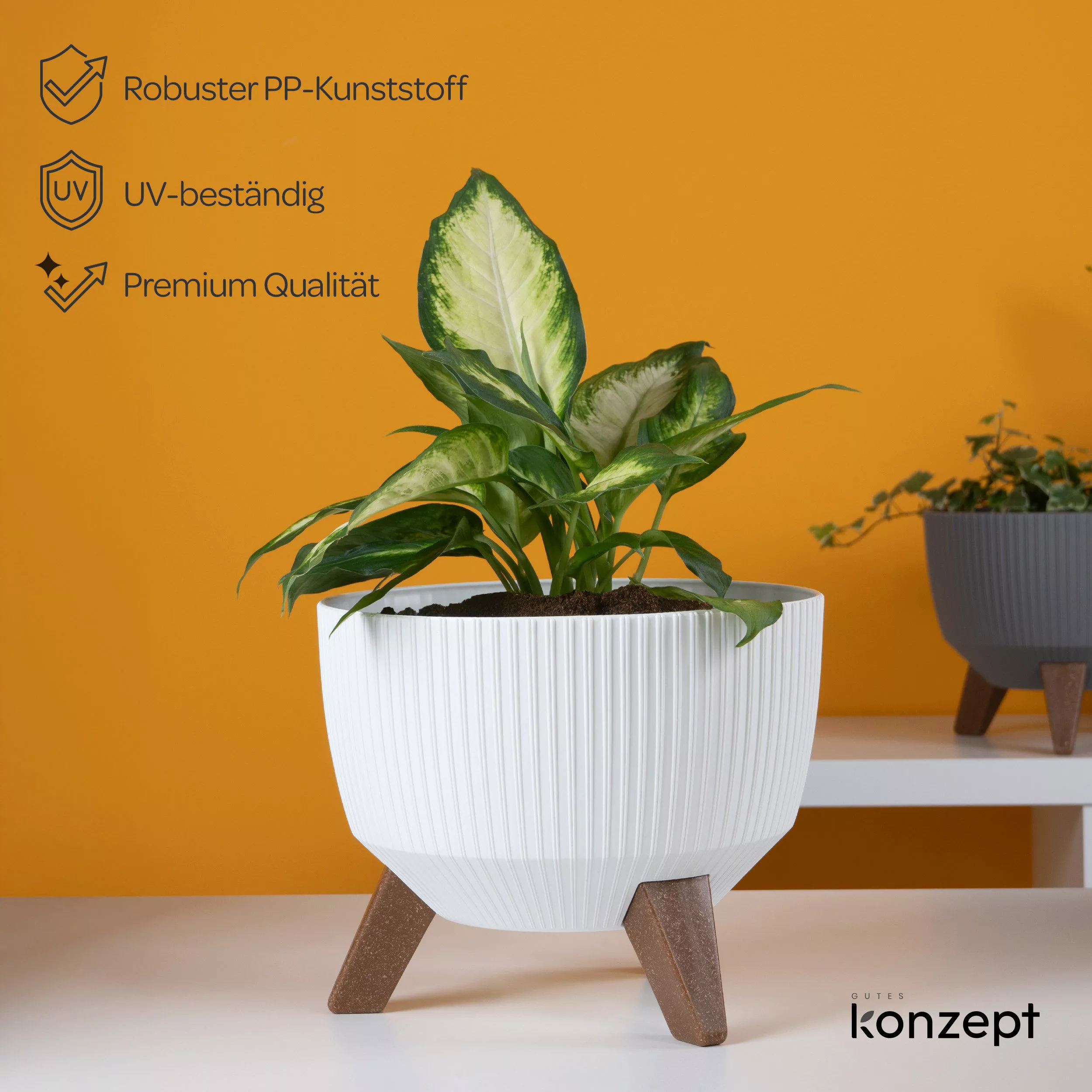 KONZEPT Blumentopf Pflanzschale 24/29cm Blumentopf mit günstig online kaufen