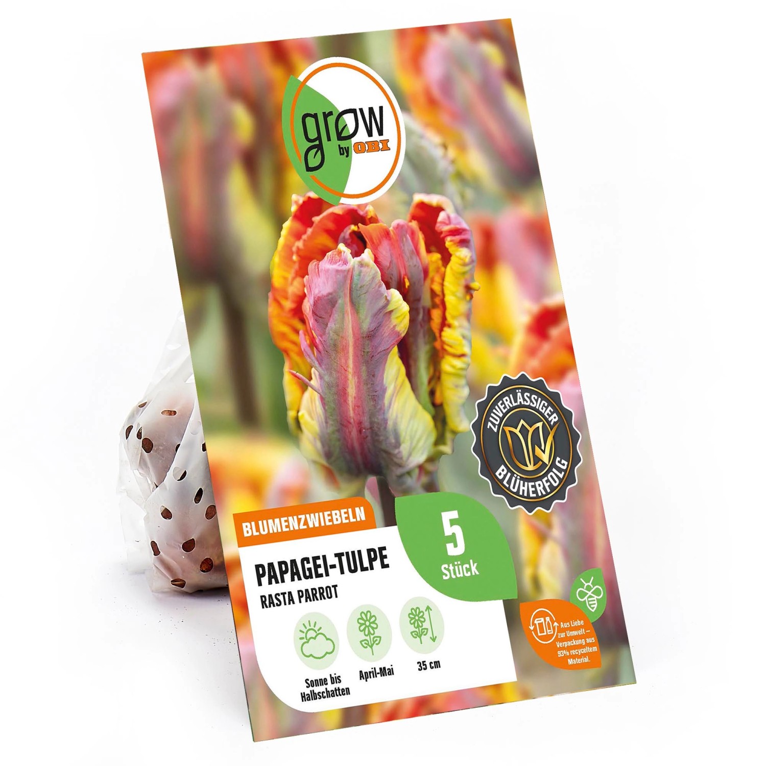 GROW by OBI Papagei-Tulpe Rasta Parrot Rot-Gelb 5 Stück Tulipa parrot günstig online kaufen