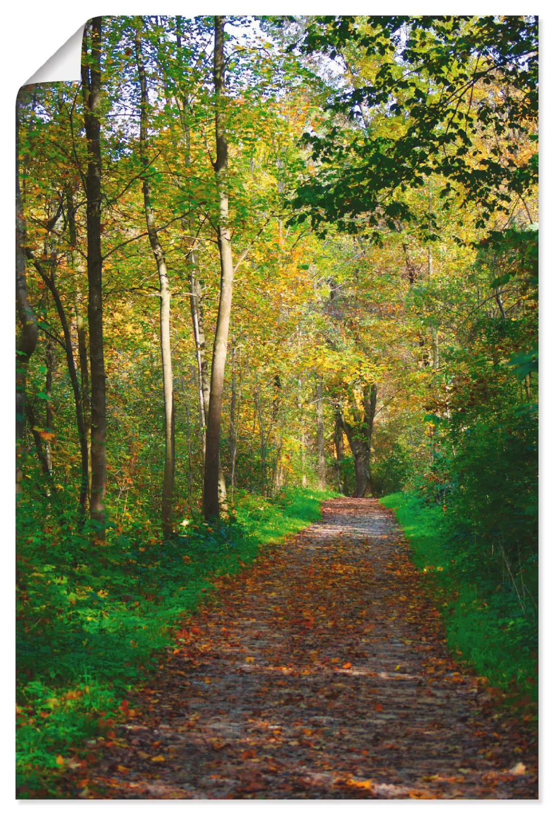 Artland Wandbild "Weg im Herbst Wald", Wald, (1 St.), als Poster, Wandaufkl günstig online kaufen