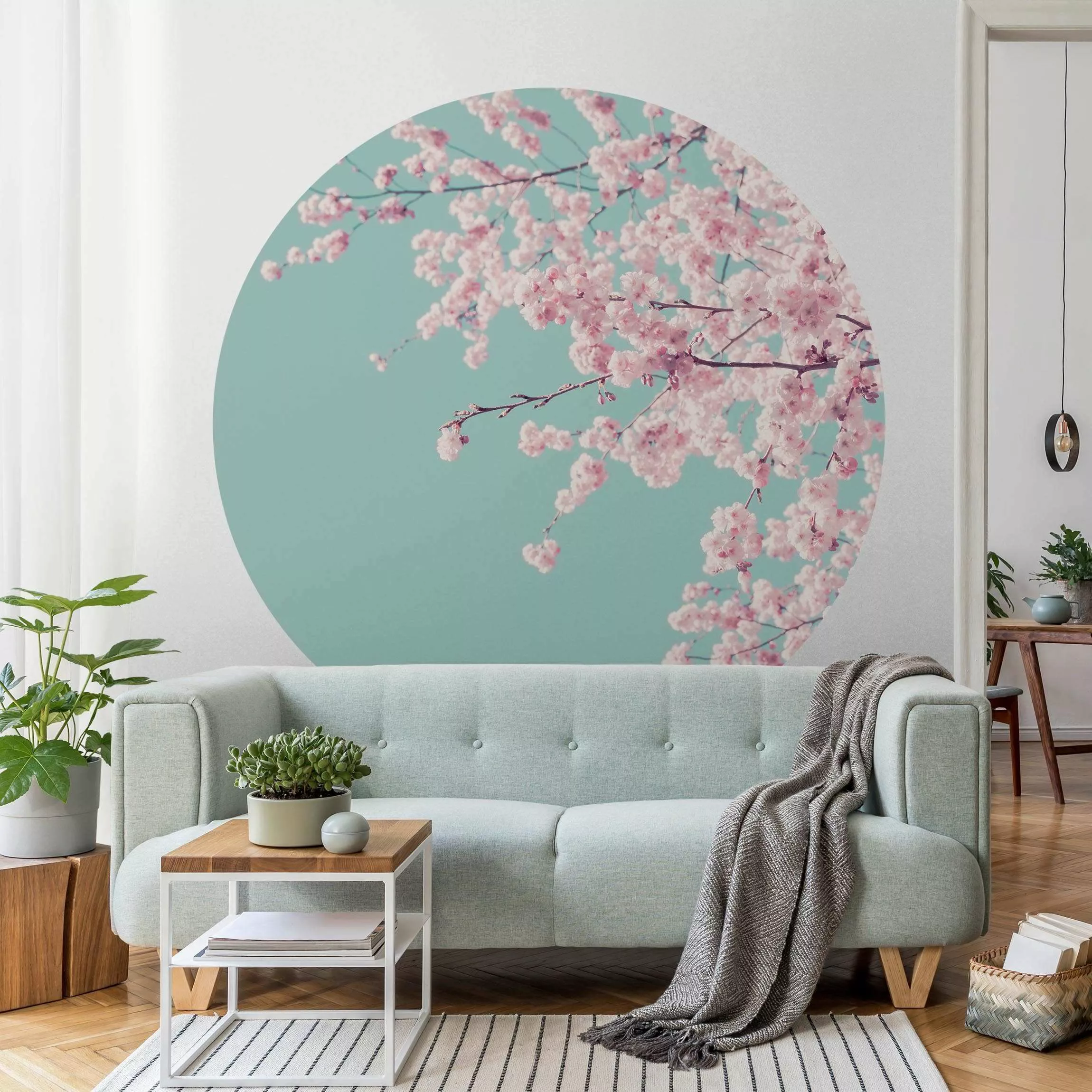 Runde Tapete selbstklebend Japanische Kirschblüte günstig online kaufen