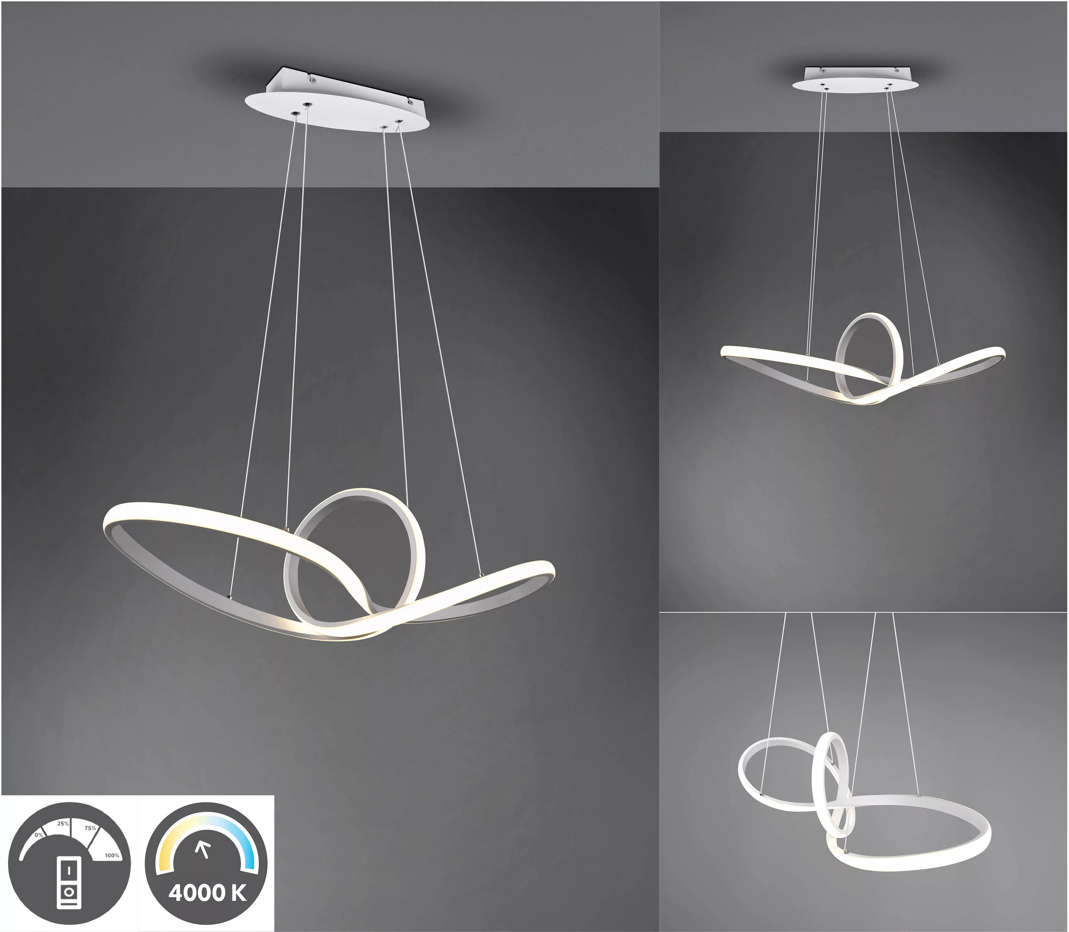 TRIO Leuchten LED Pendelleuchte »SANSA«, 1 flammig-flammig, über Wandschalt günstig online kaufen