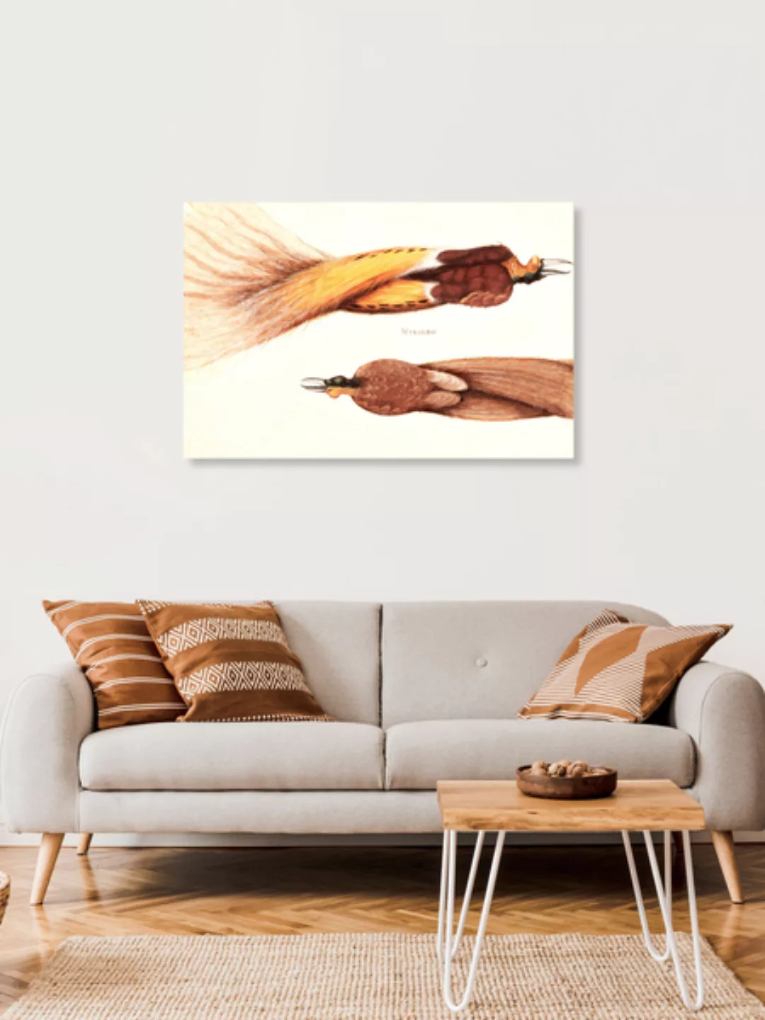 Poster / Leinwandbild - To Døde Paradisfugle, En Han Og En Hun Von Christop günstig online kaufen