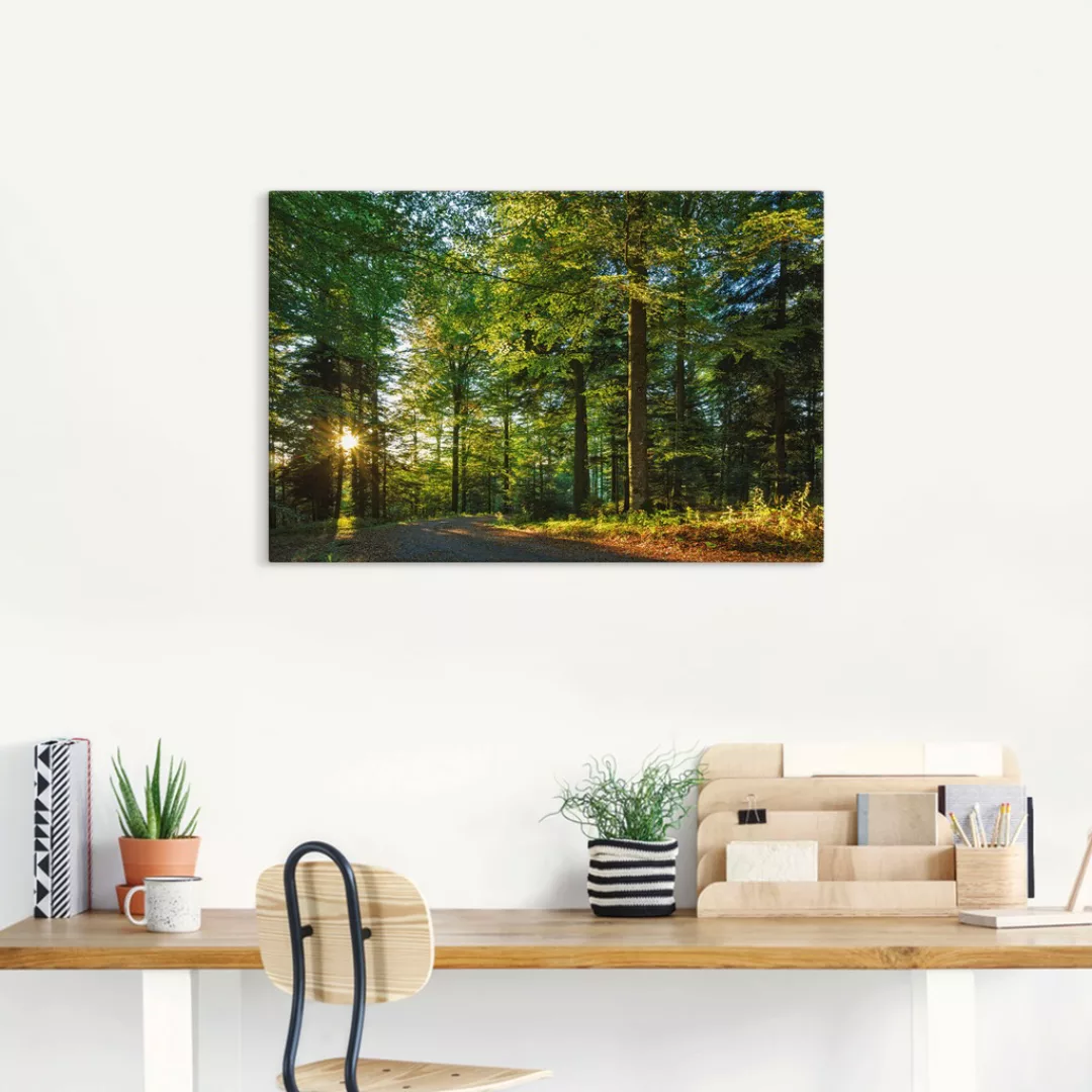 Artland Wandbild "Waldweg im Romantischen Schwarzwald", Waldbilder, (1 St.) günstig online kaufen